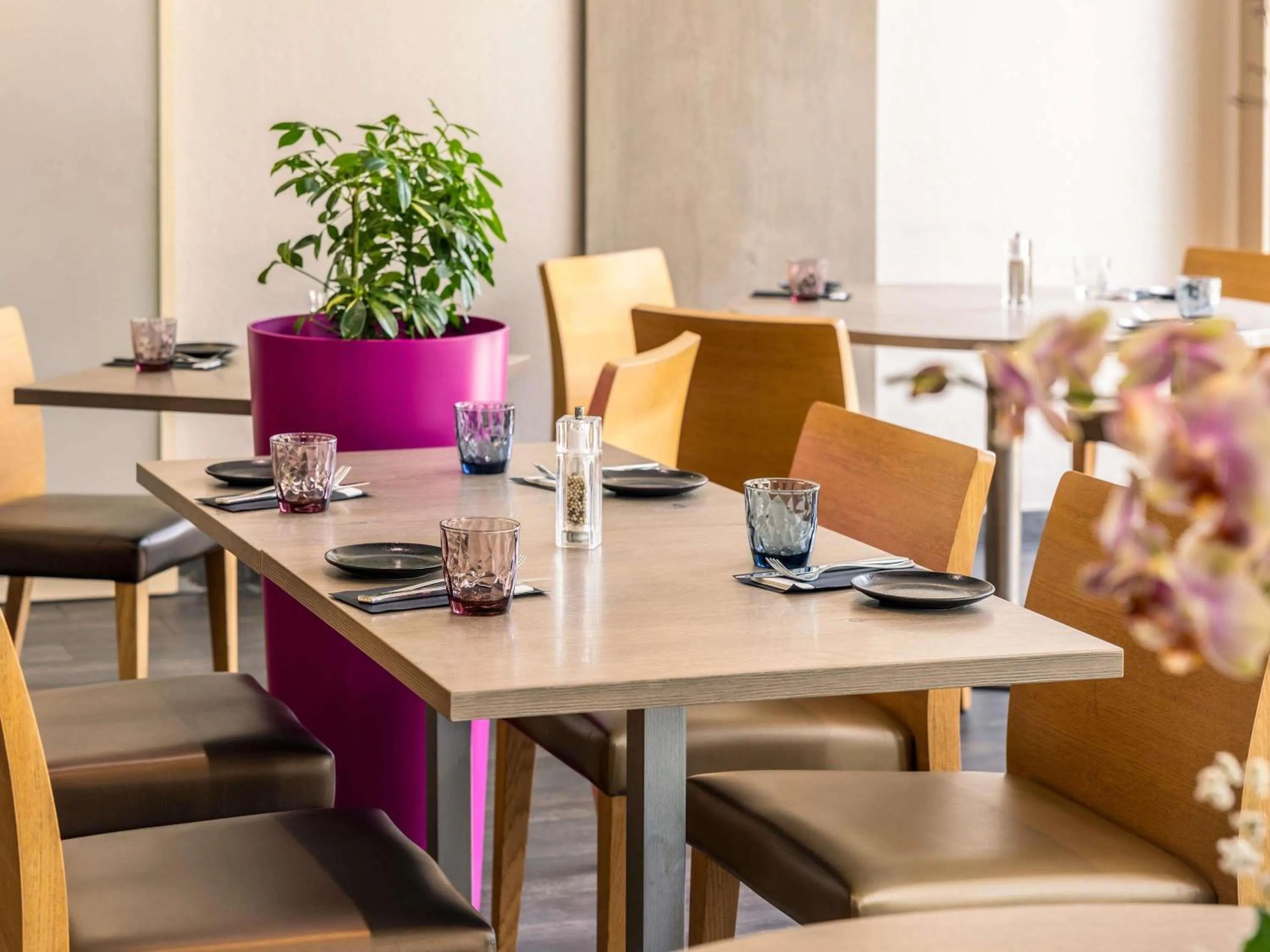 Restaurant/places to eat in Mercure Strasbourg Aéroport