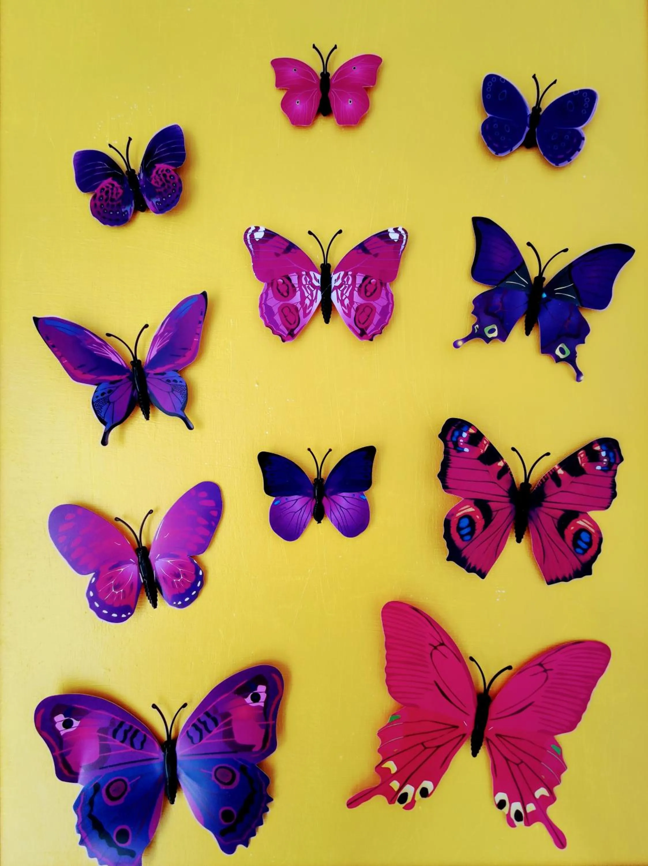 Decorative detail in Hotel Adria B&B - Colazione fino alle 12