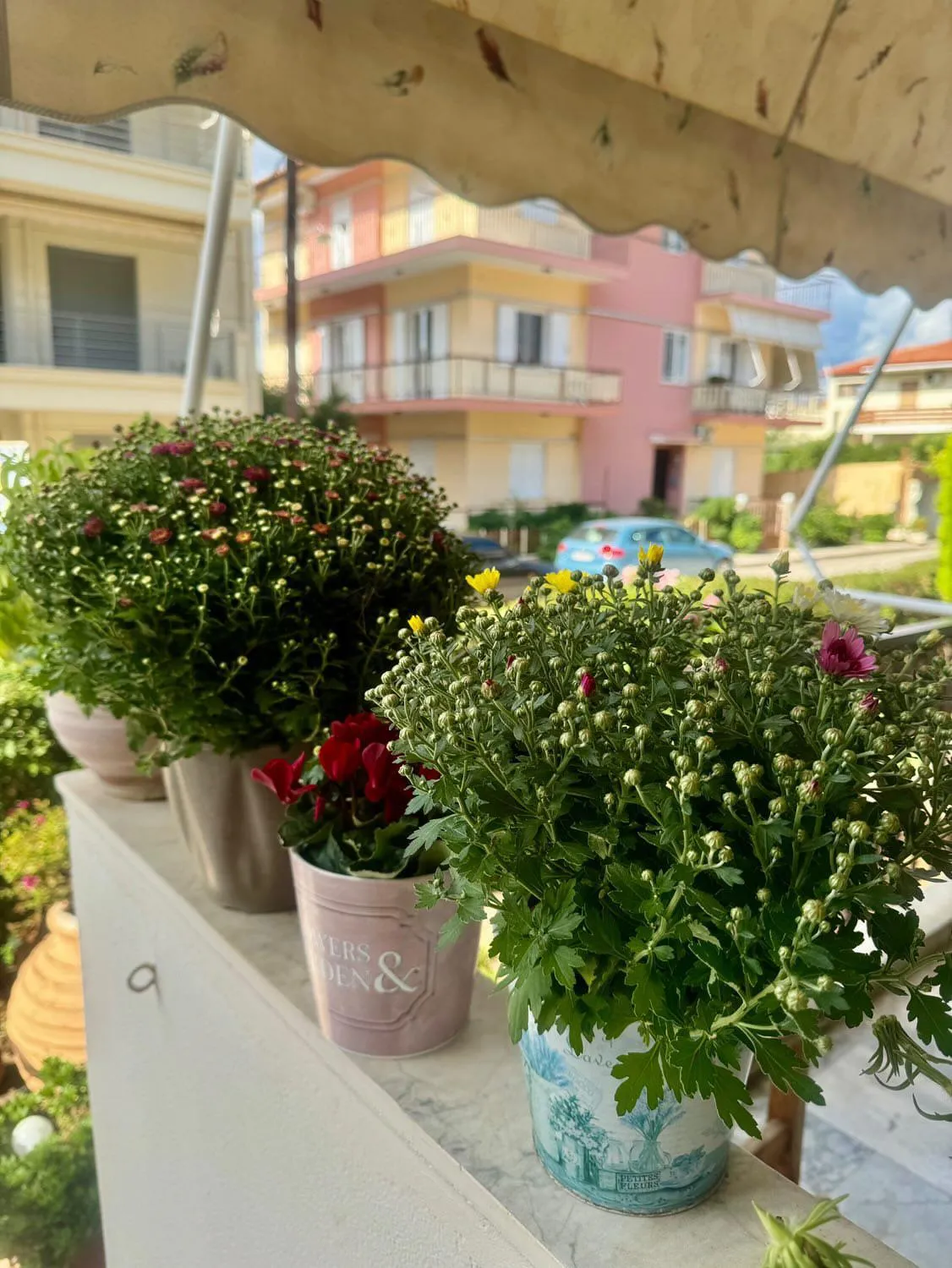 Theoxenia Paralio Astros