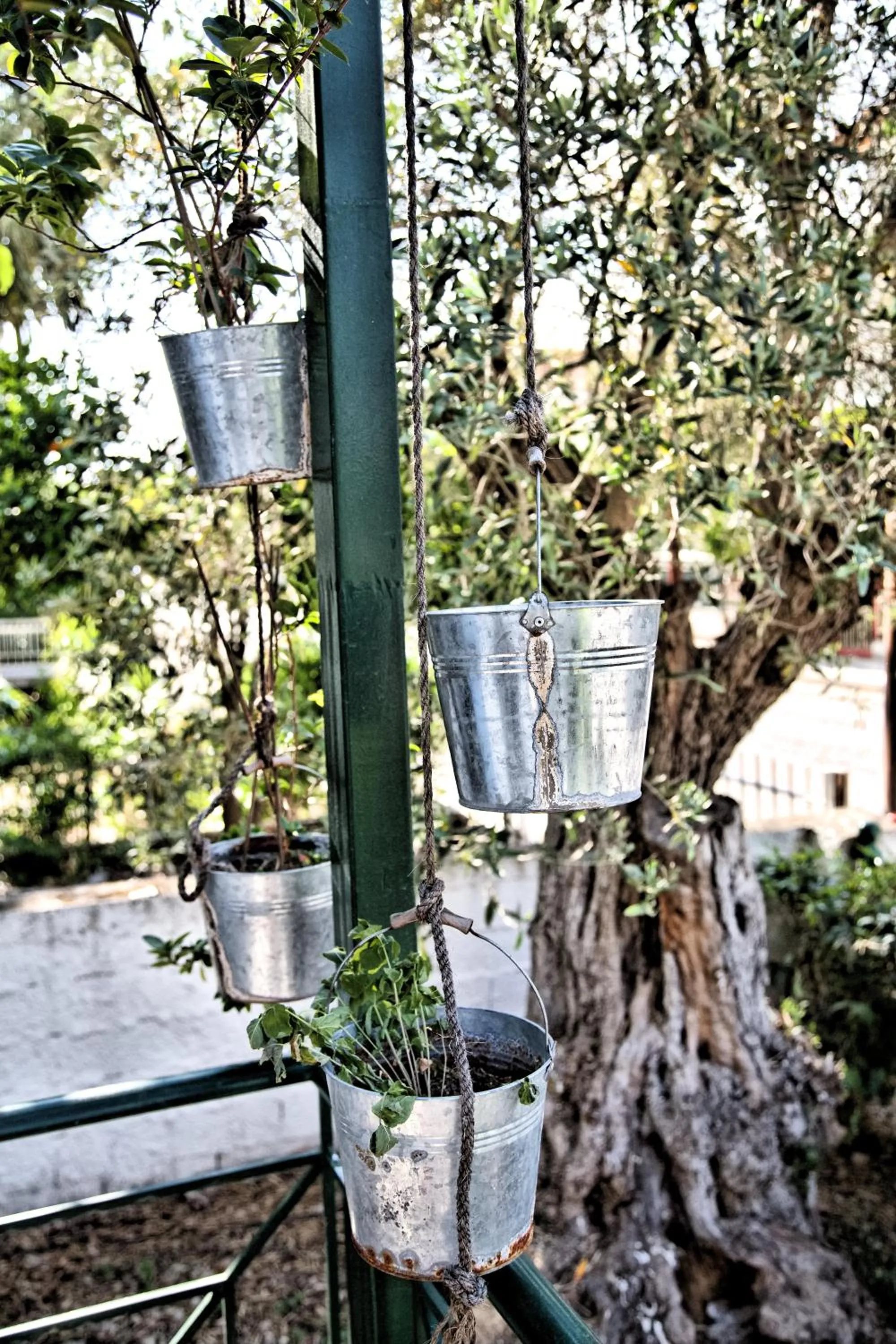 Decorative detail in Tsertos Apartments