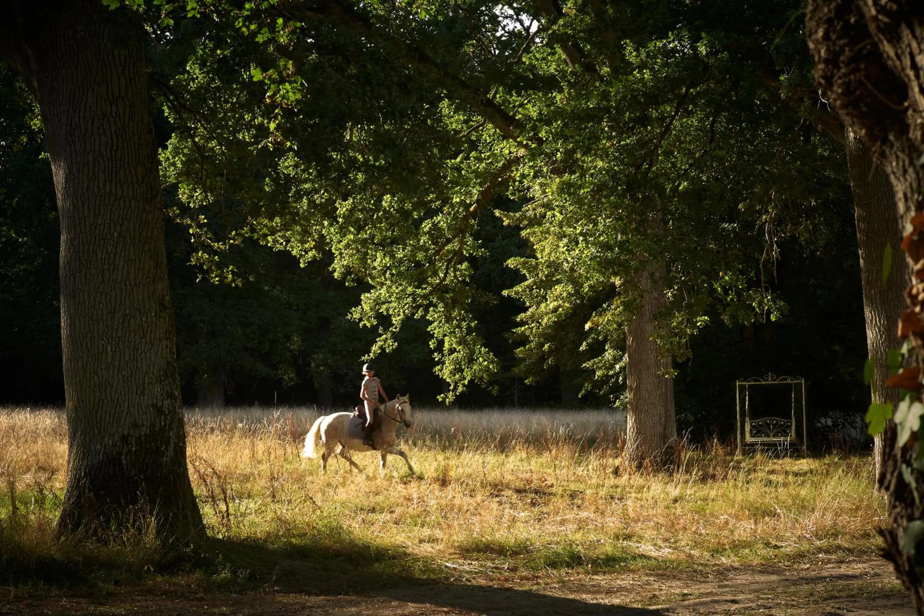 Horse-riding in Les Sources de Cheverny
