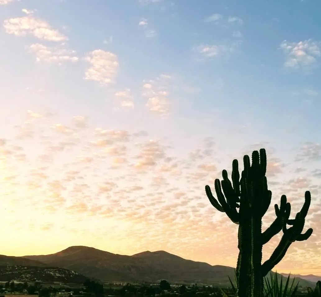 Natural landscape in Terra Monarca