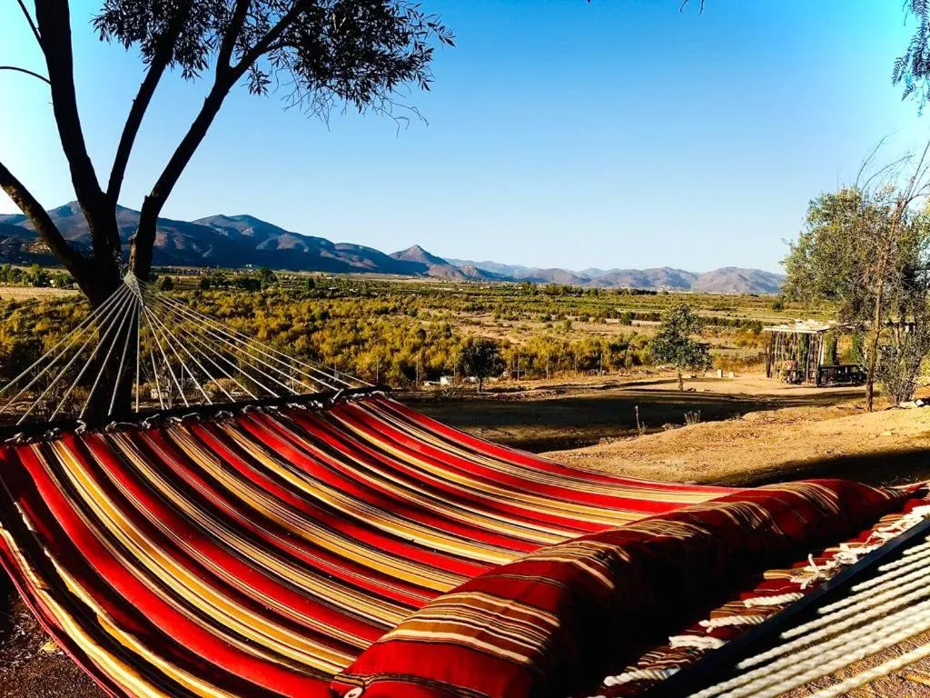 Area and facilities in Terra Monarca