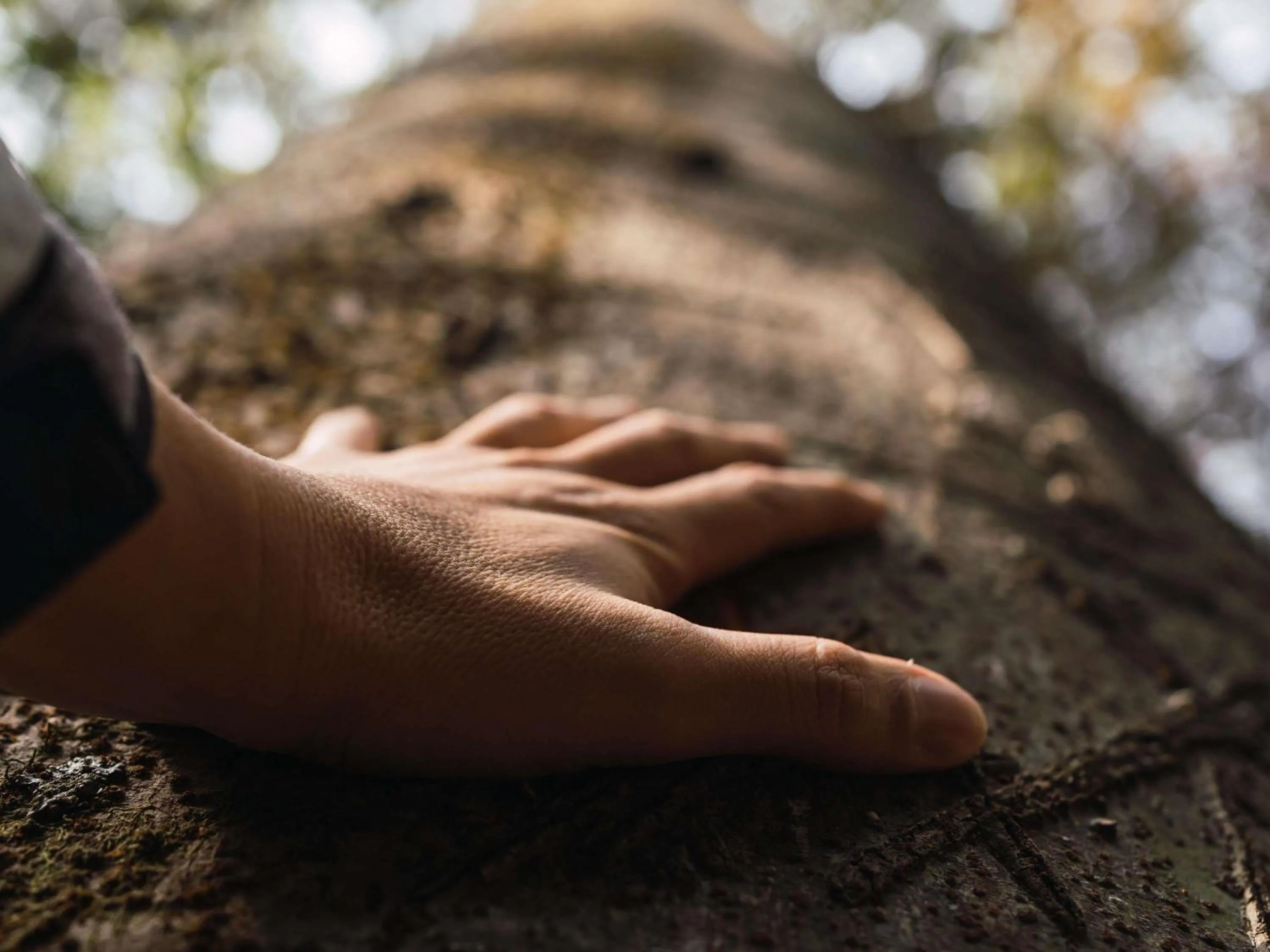 Fitness centre/facilities in ibis Styles Aix les Bains Domaine de Marlioz