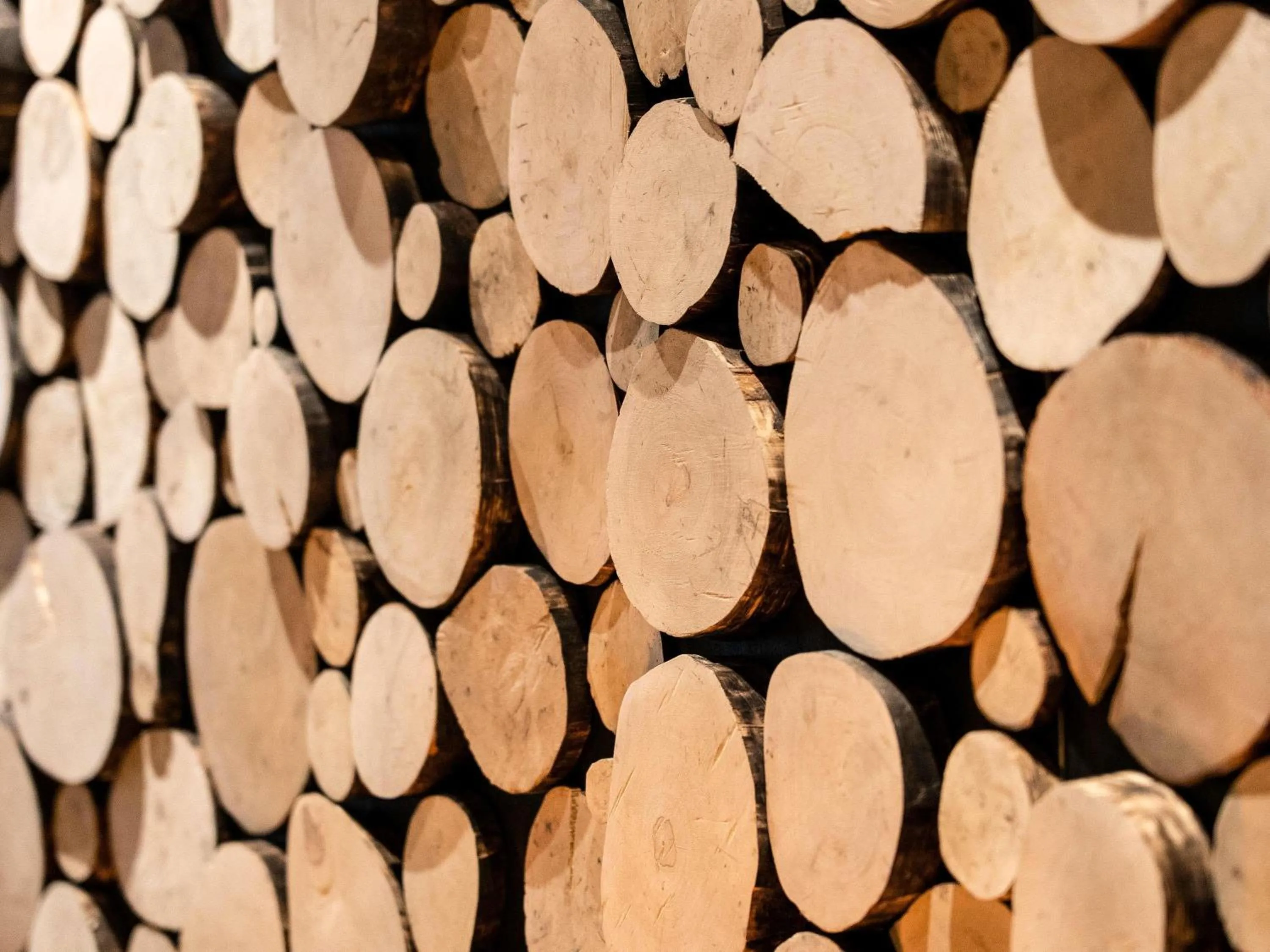 Lounge or bar in ibis Styles Aix les Bains Domaine de Marlioz