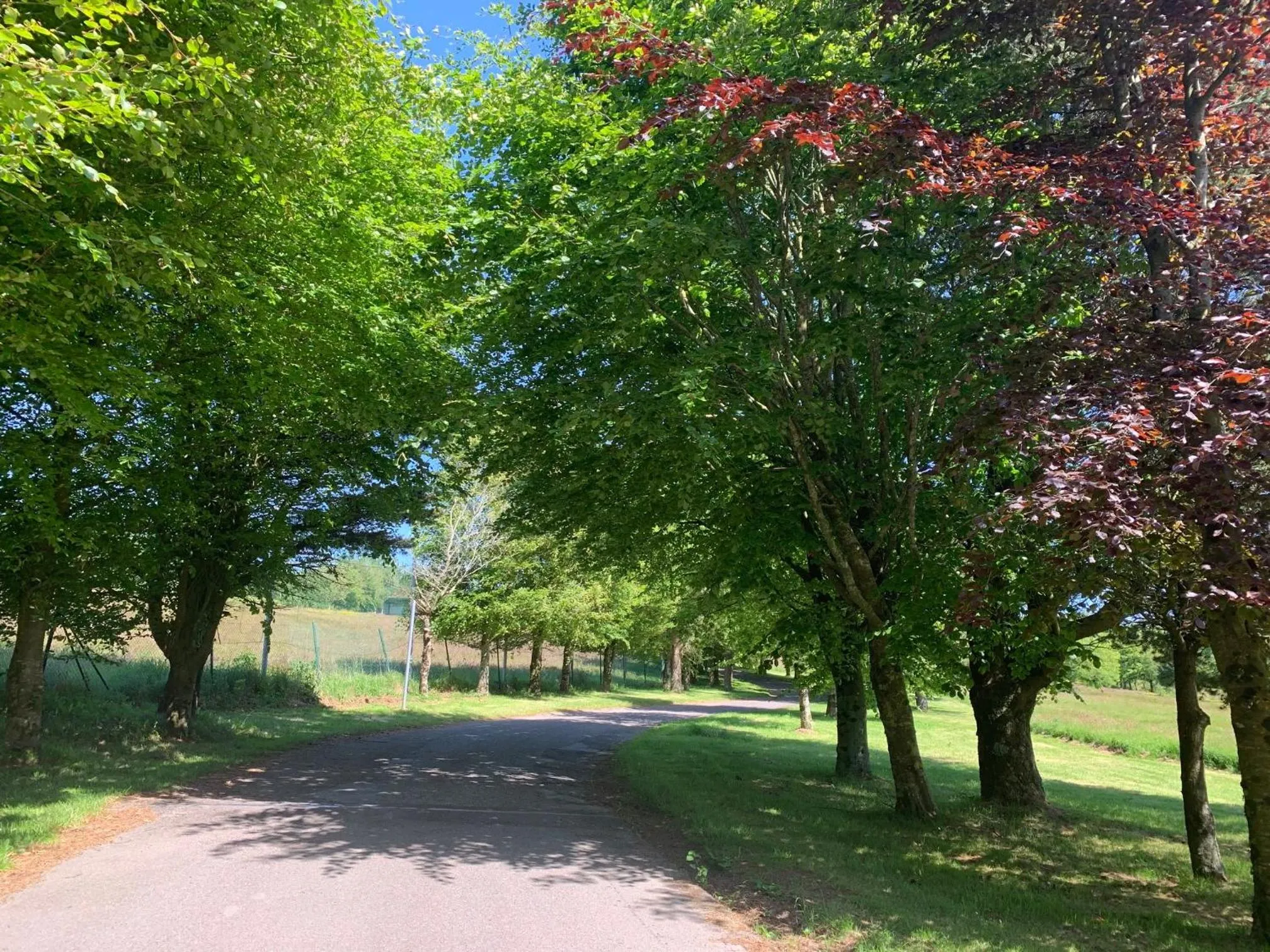 Natural landscape in Fernhill Lodge Carrigaline