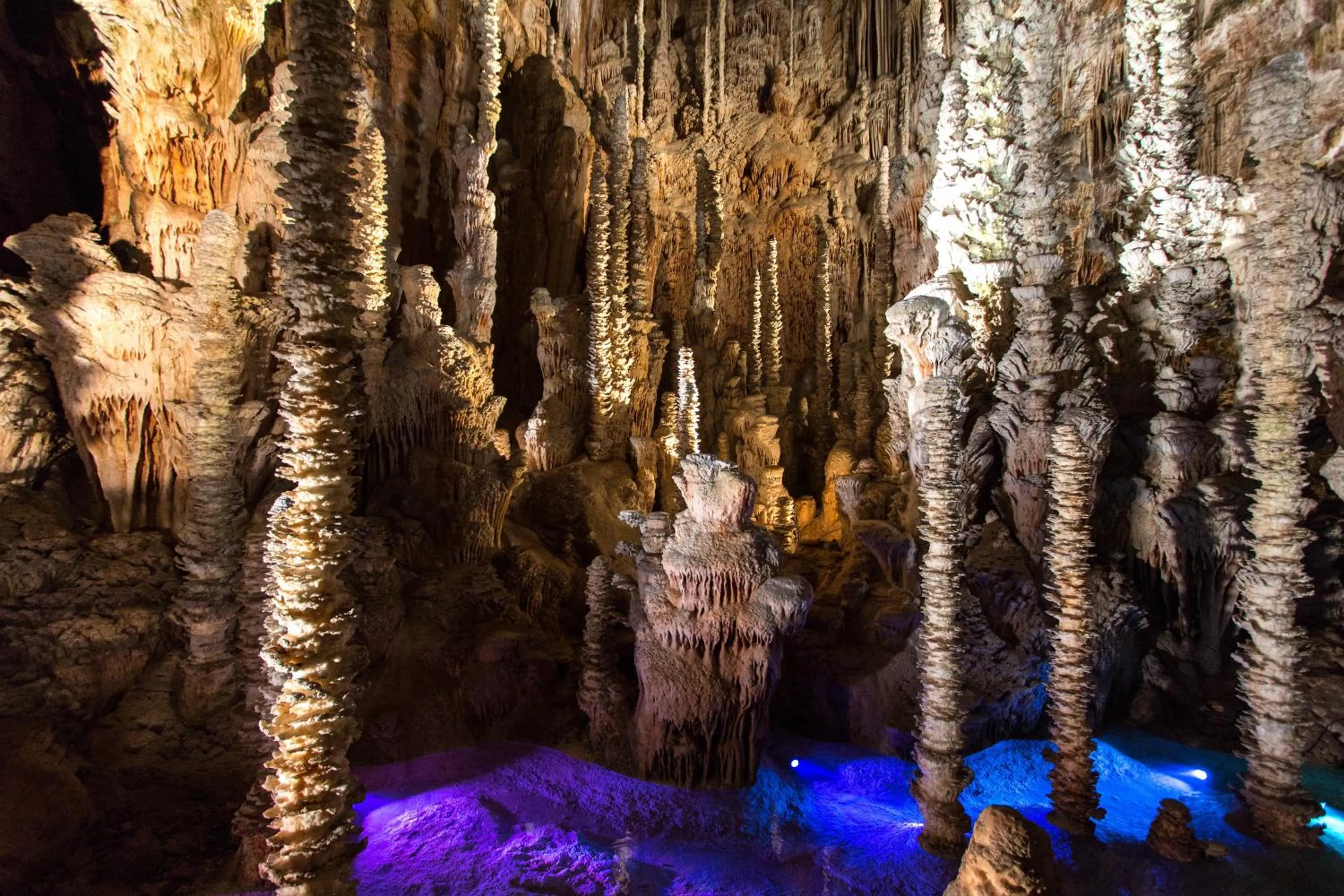 Area and facilities in Mercure Millau