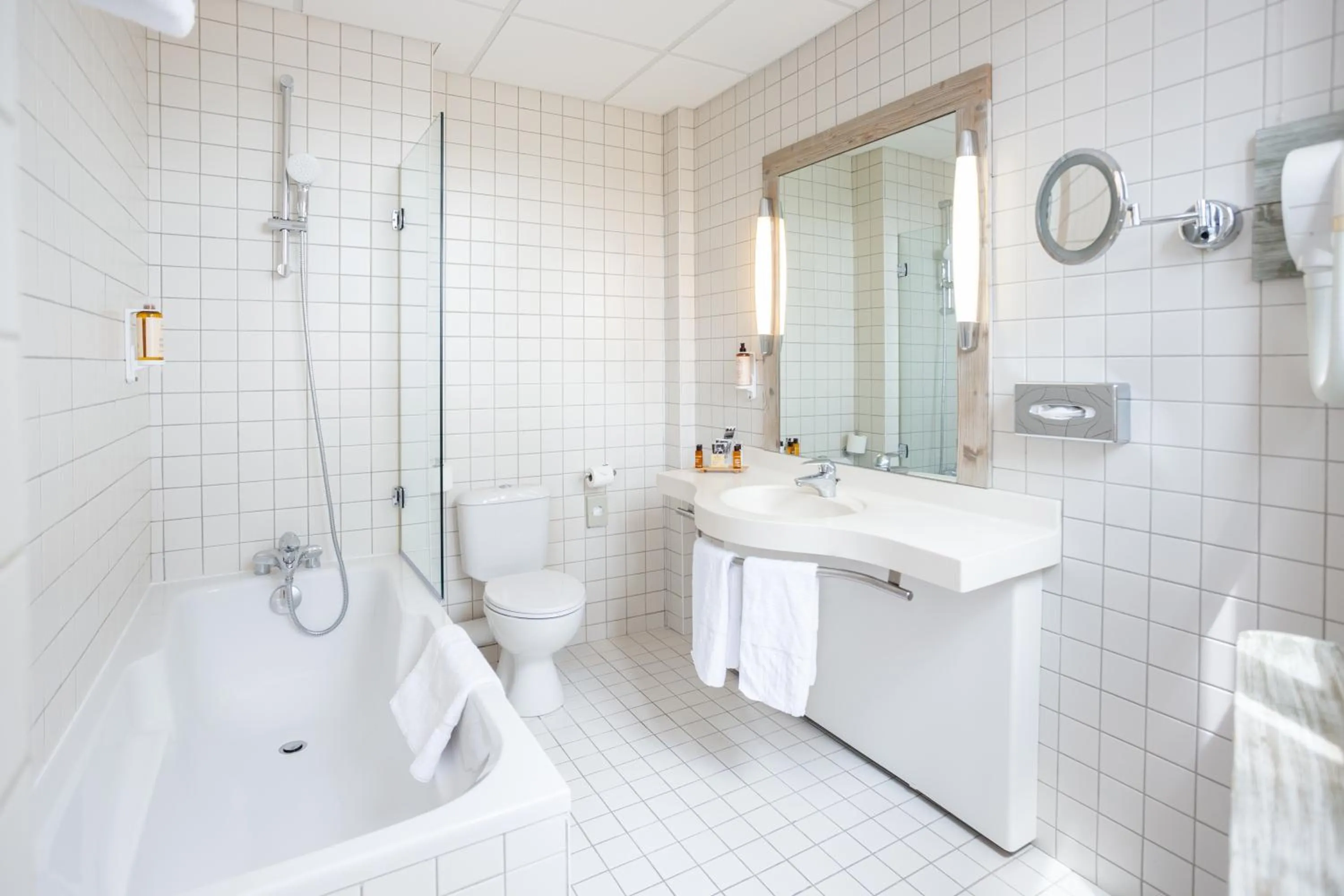 Toilet in Mercure Millau