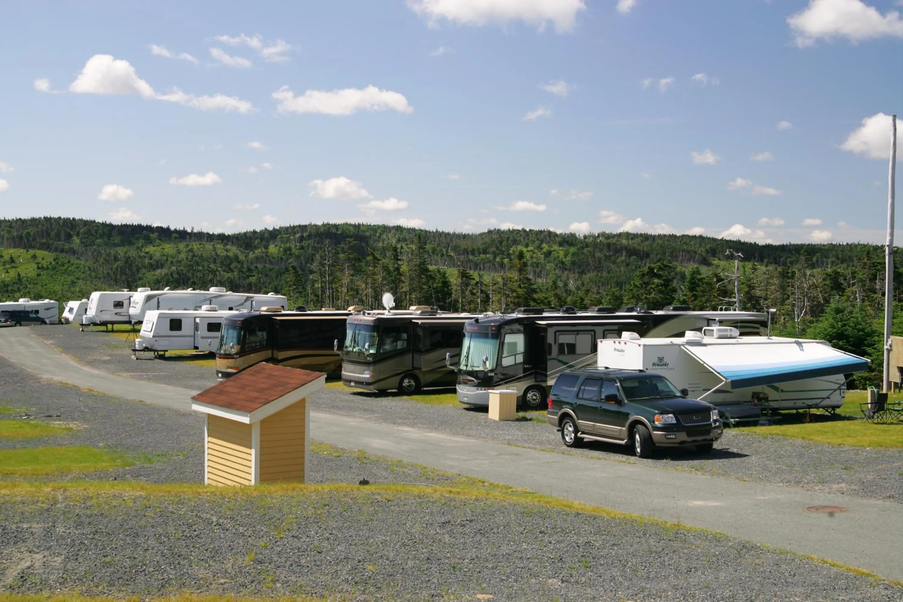Other in The Wilds at Salmonier River