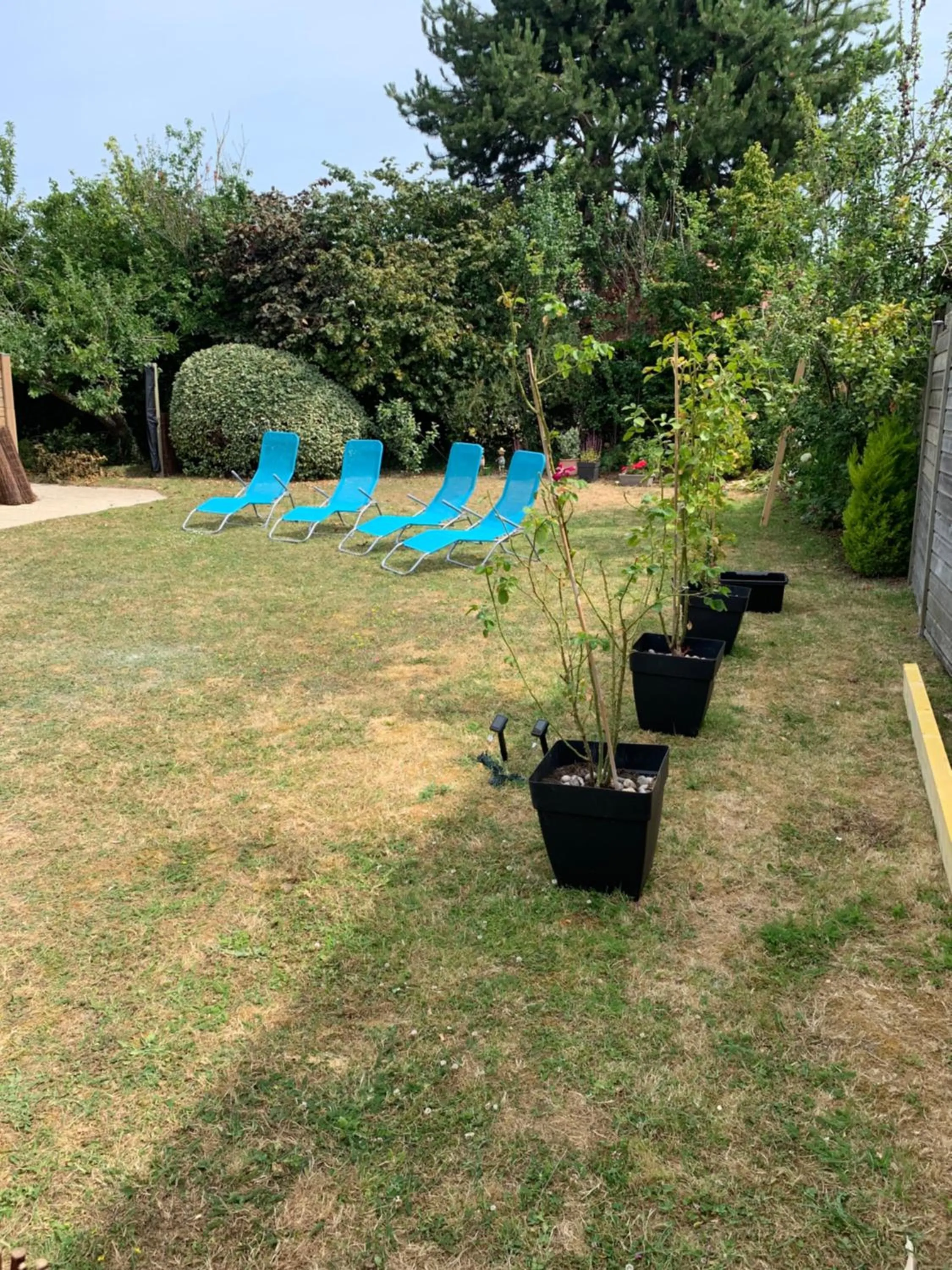 Garden in VILLA CATHY