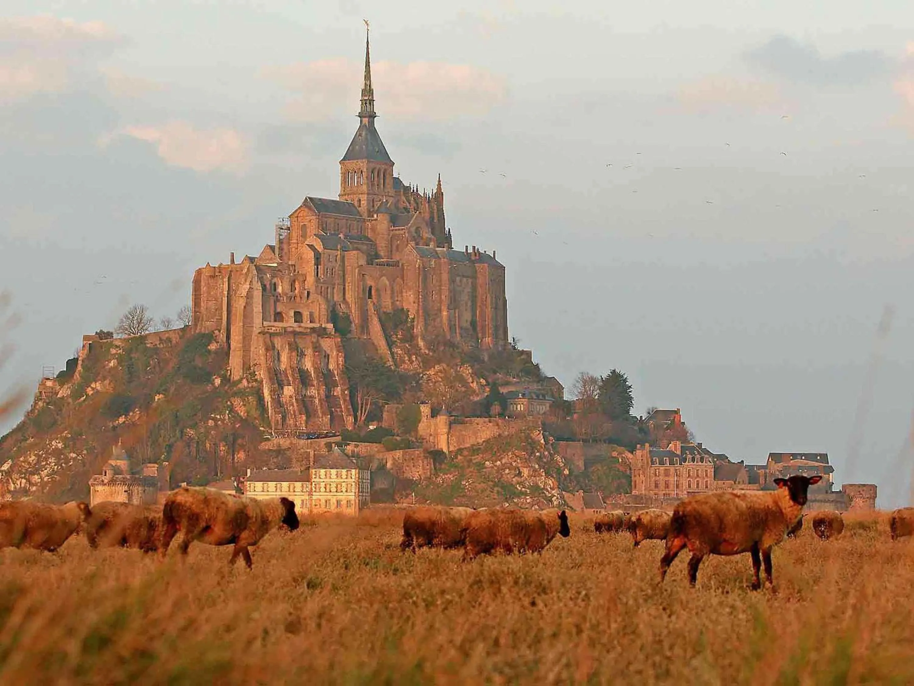 Other in Mercure Mont Saint Michel