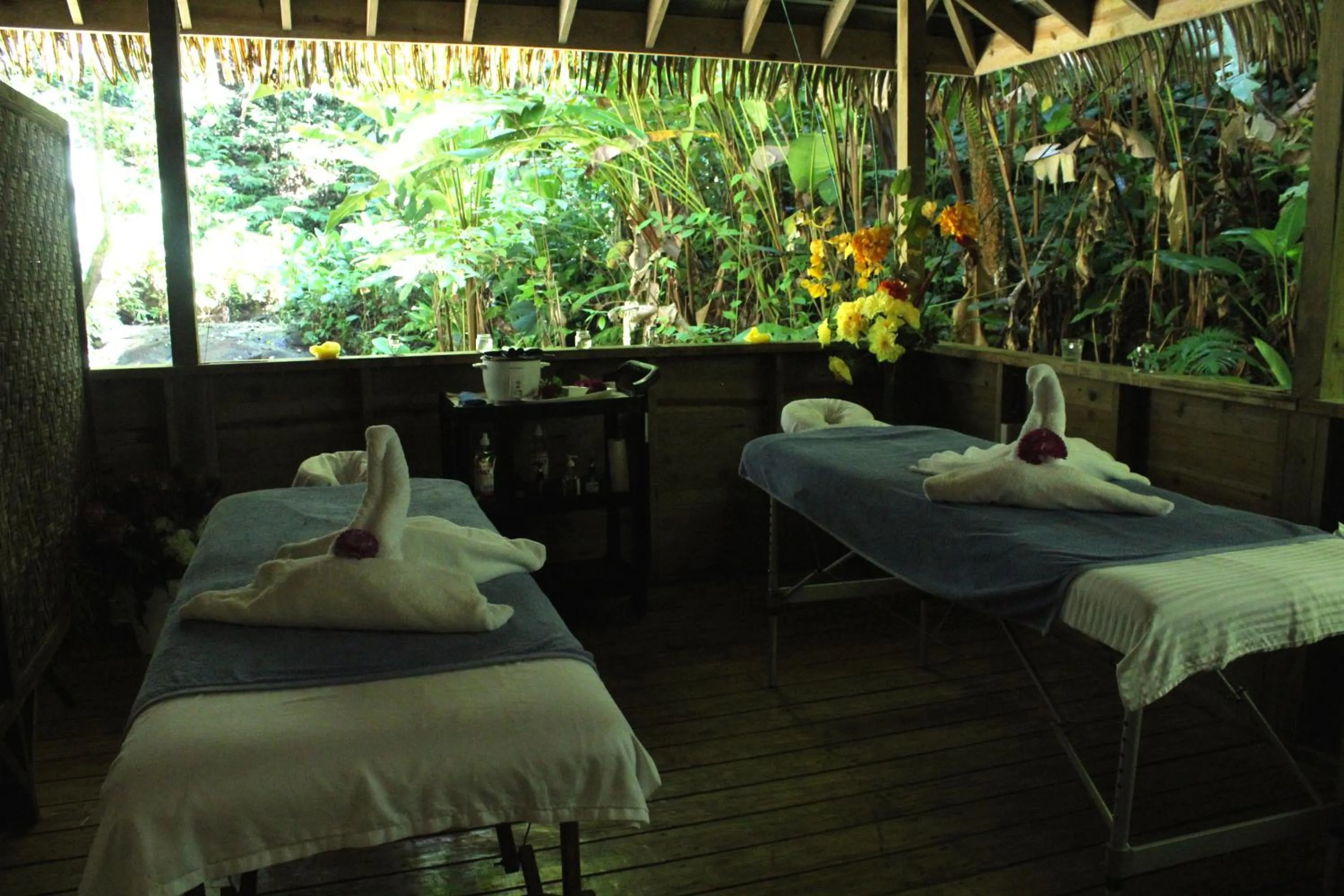 Spa and wellness centre/facilities in Red Frog Beach Island Resort