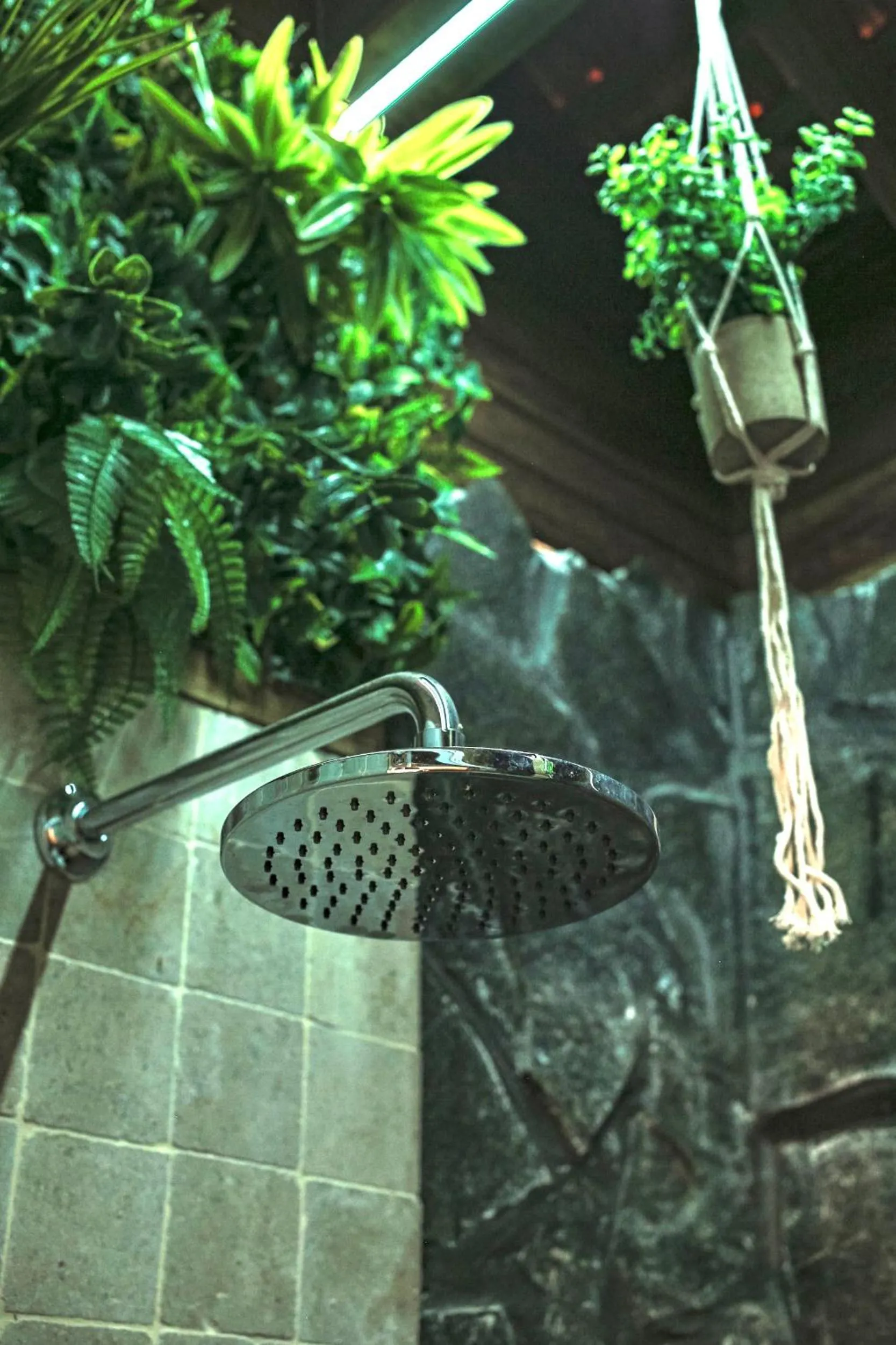 Red Frog Beach Island Resort