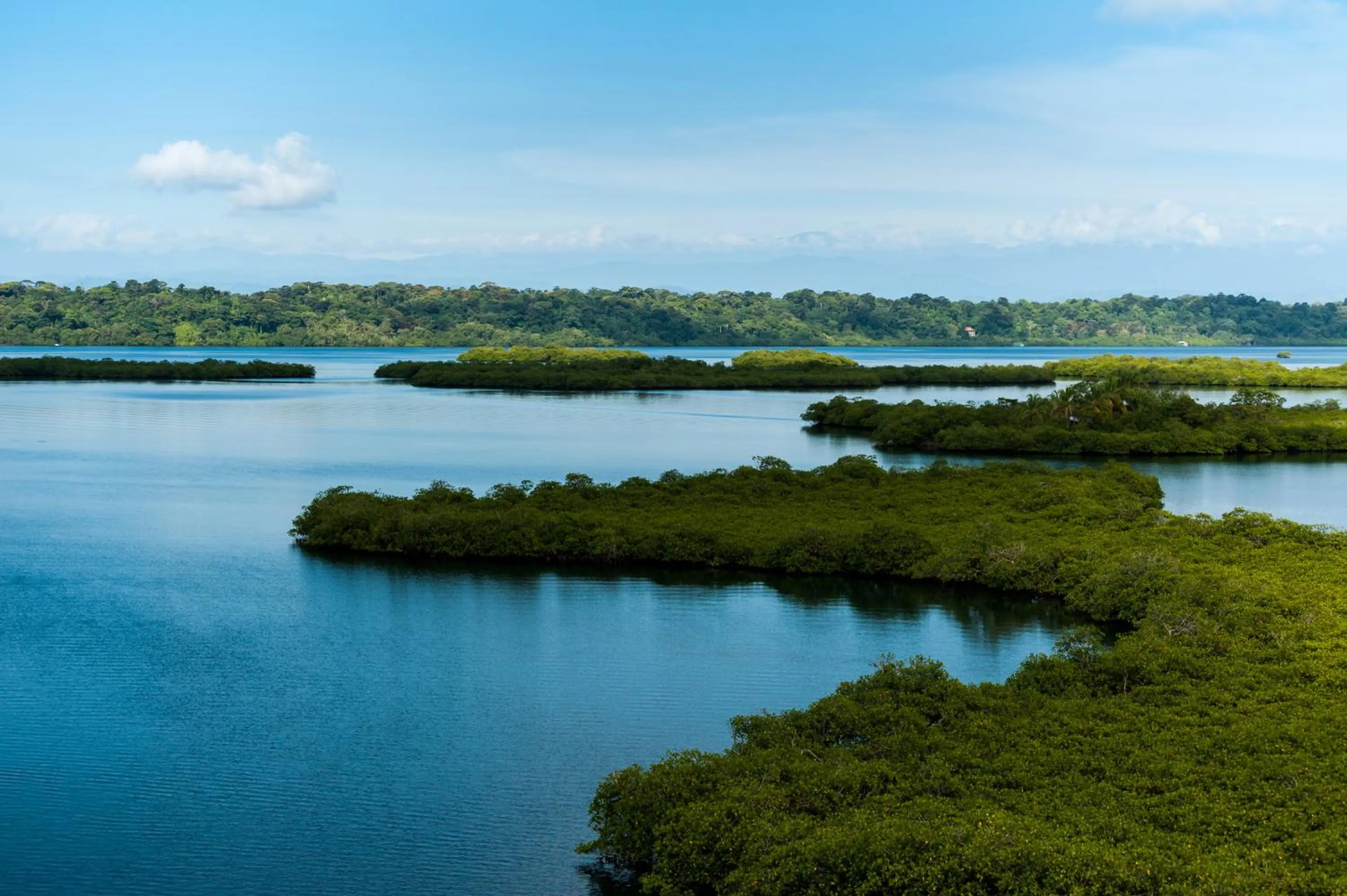 Day in Red Frog Beach Island Resort