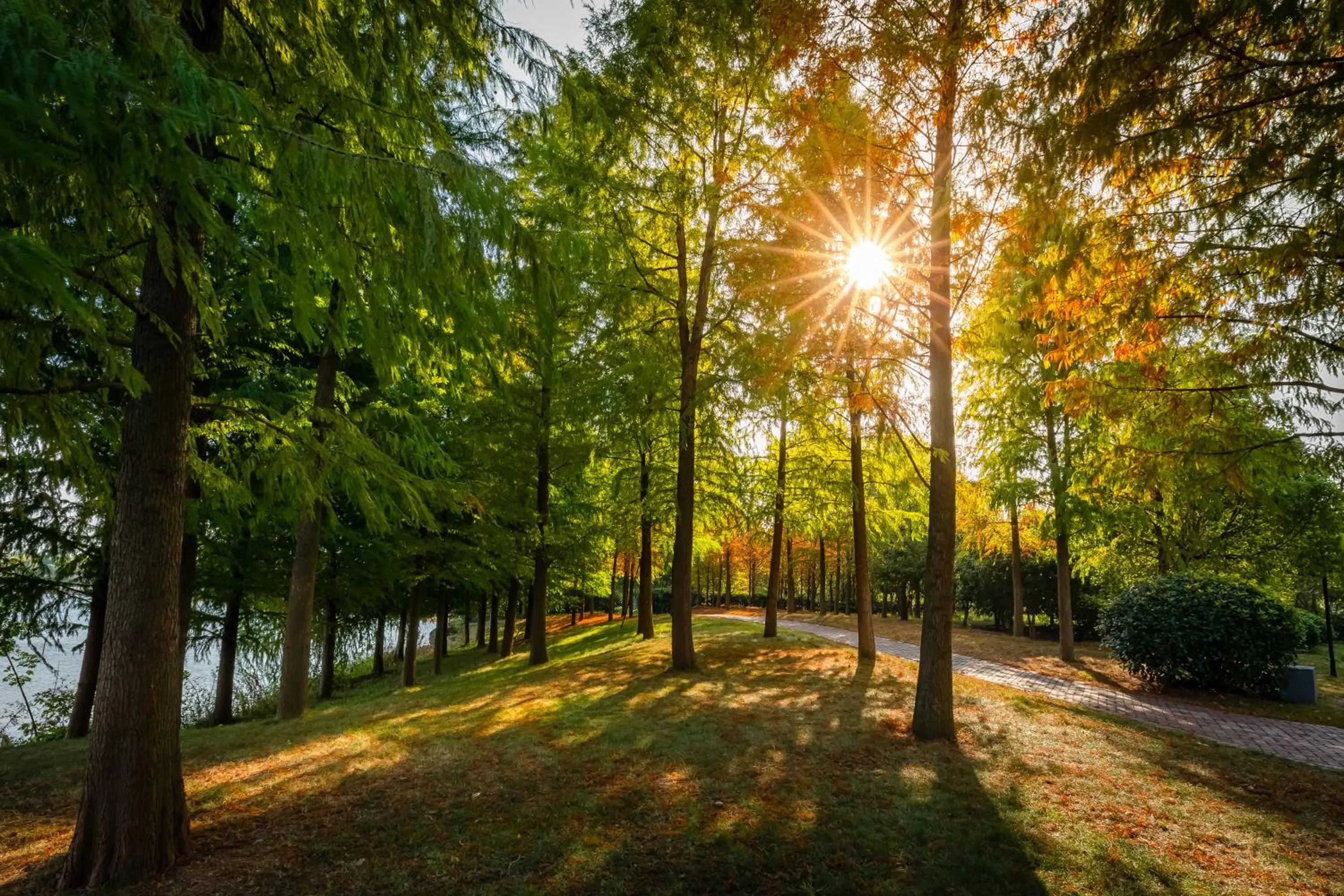 Property building in Your World International Conference Centre Hotel