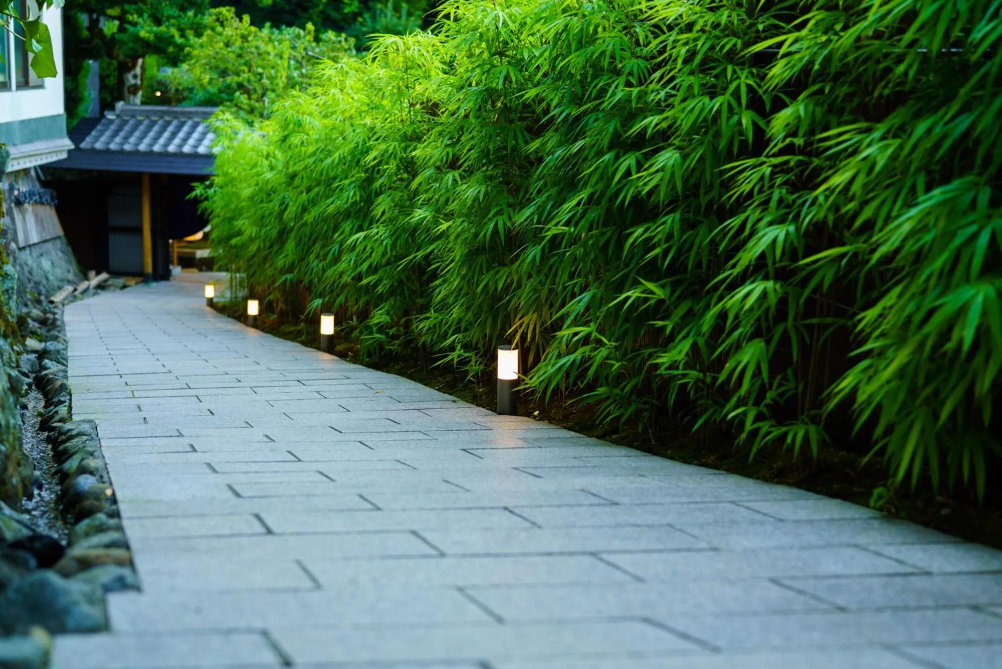 Natural landscape in Beppu Showaen