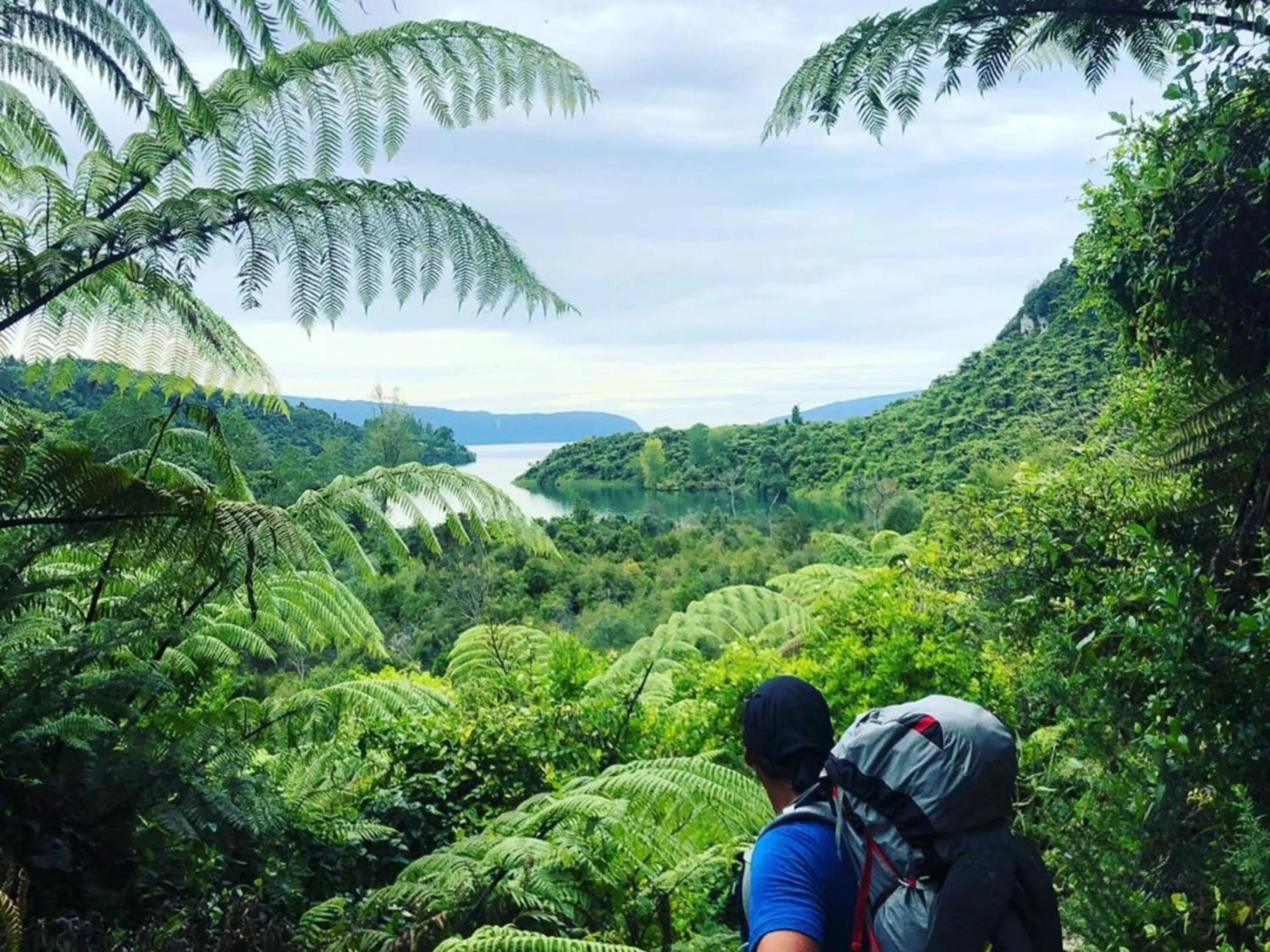 Hiking in Rotorua Thermal Holiday Park