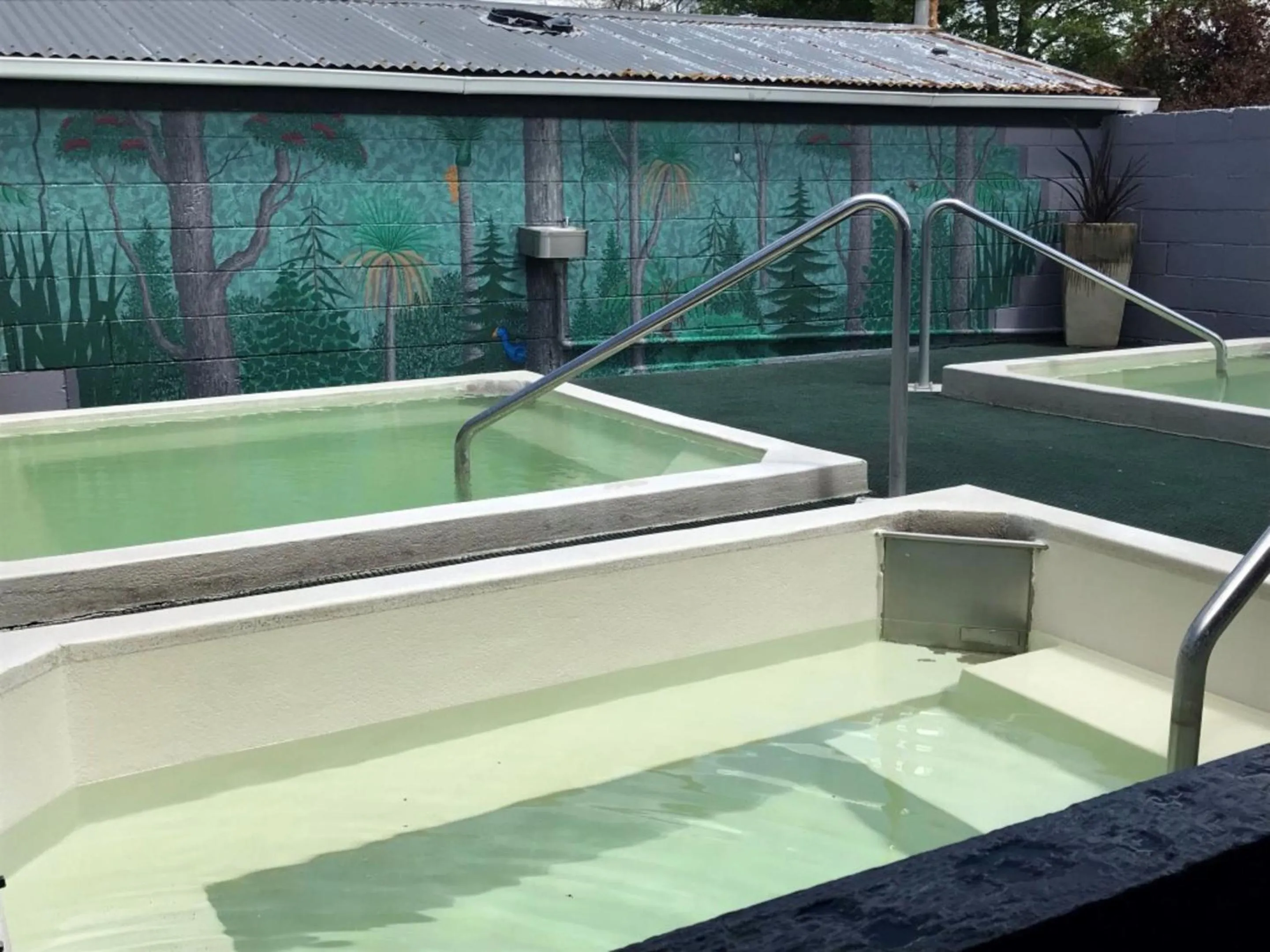 Hot Spring Bath in Rotorua Thermal Holiday Park