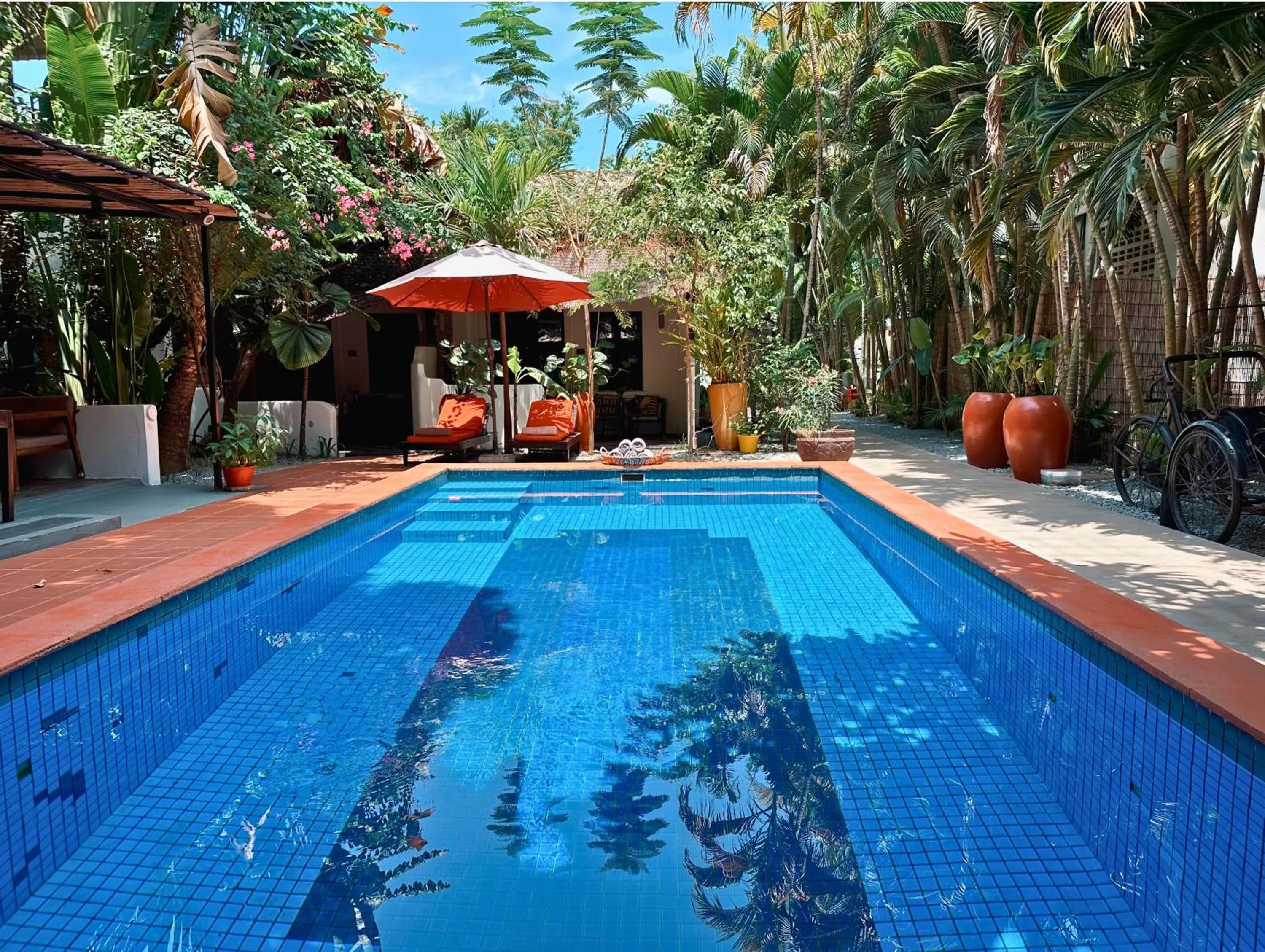 Garden in Maison 557