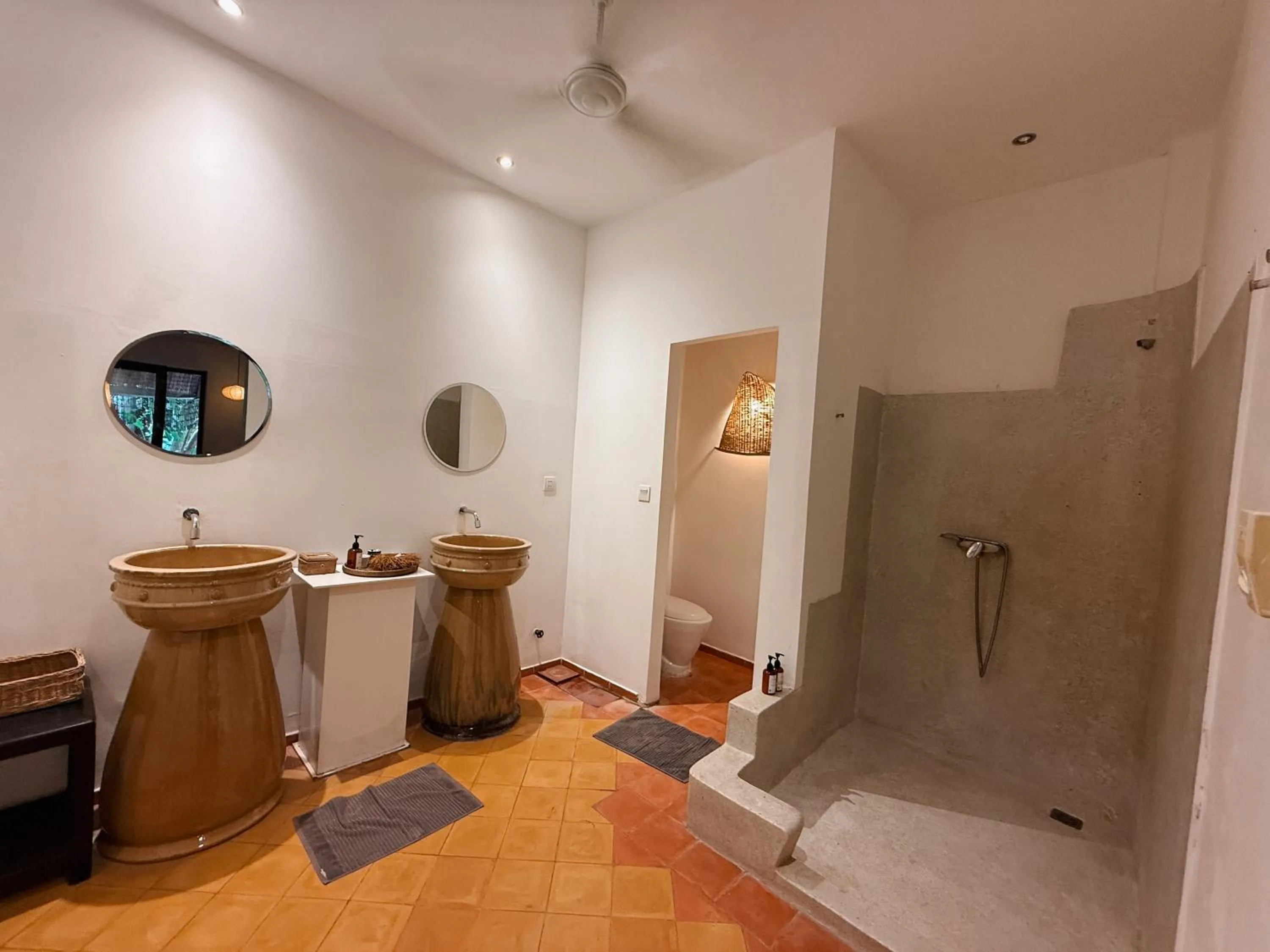 Shower in Maison 557