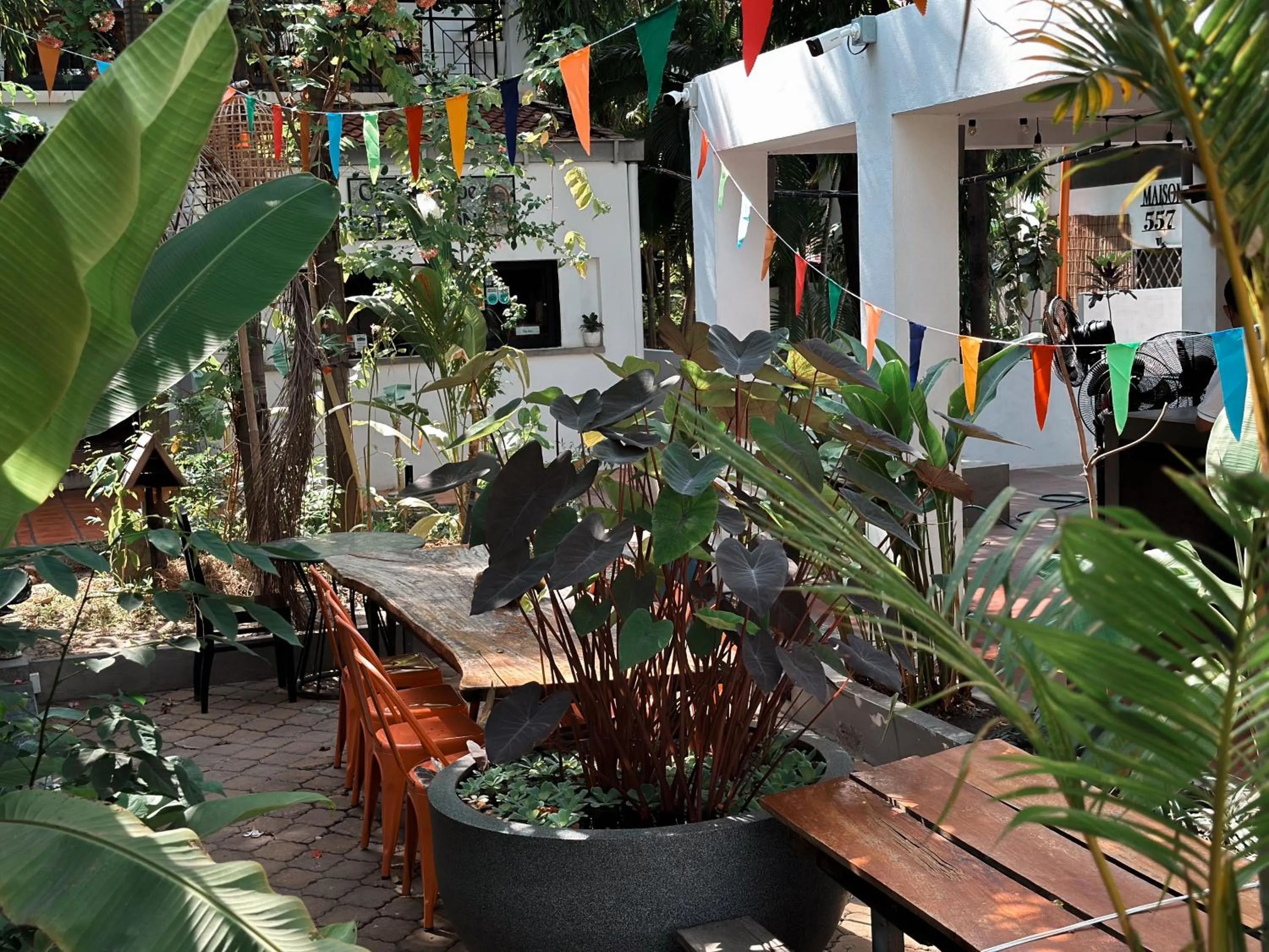 Restaurant/places to eat in Maison 557