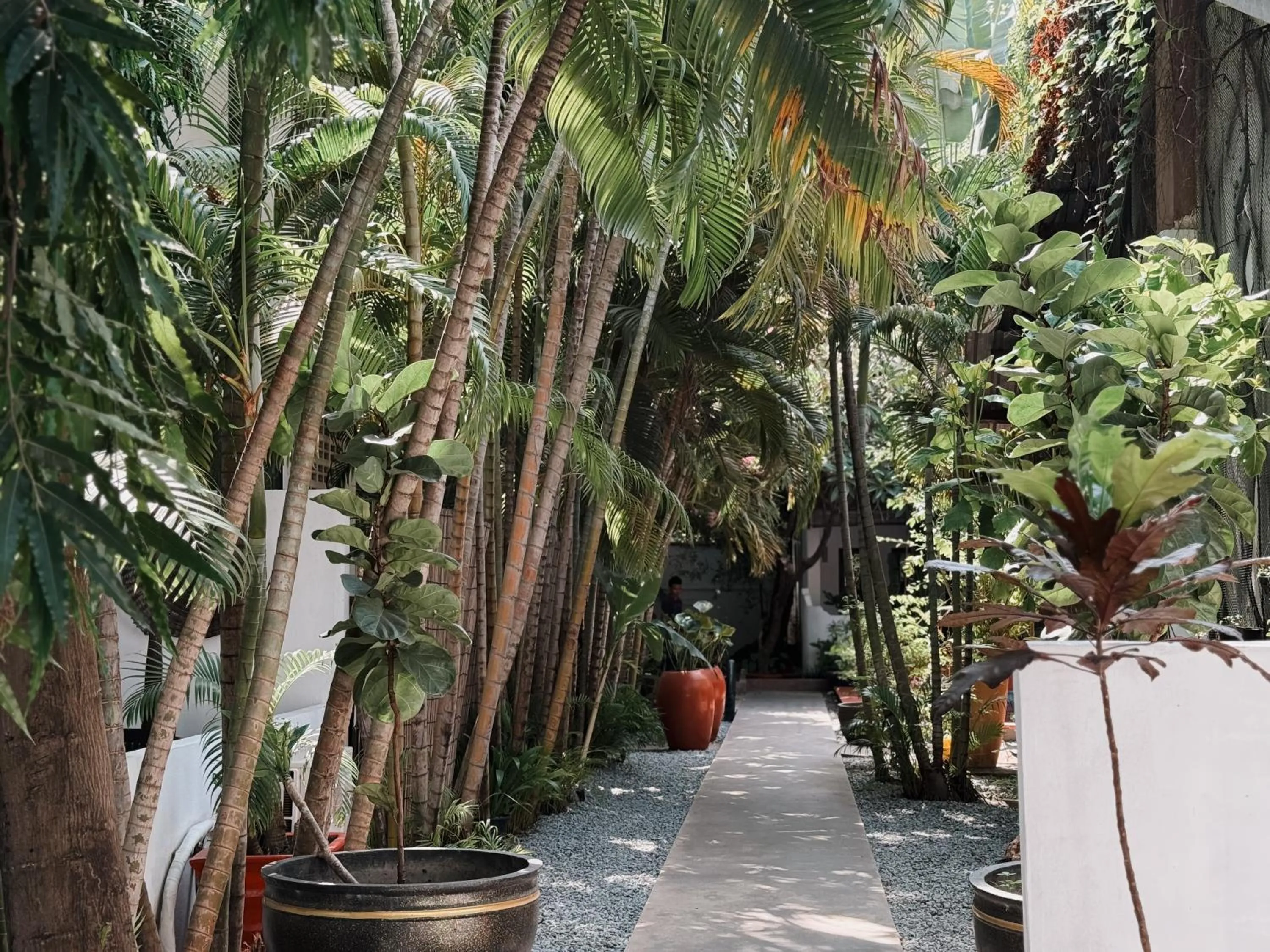 Garden in Maison 557