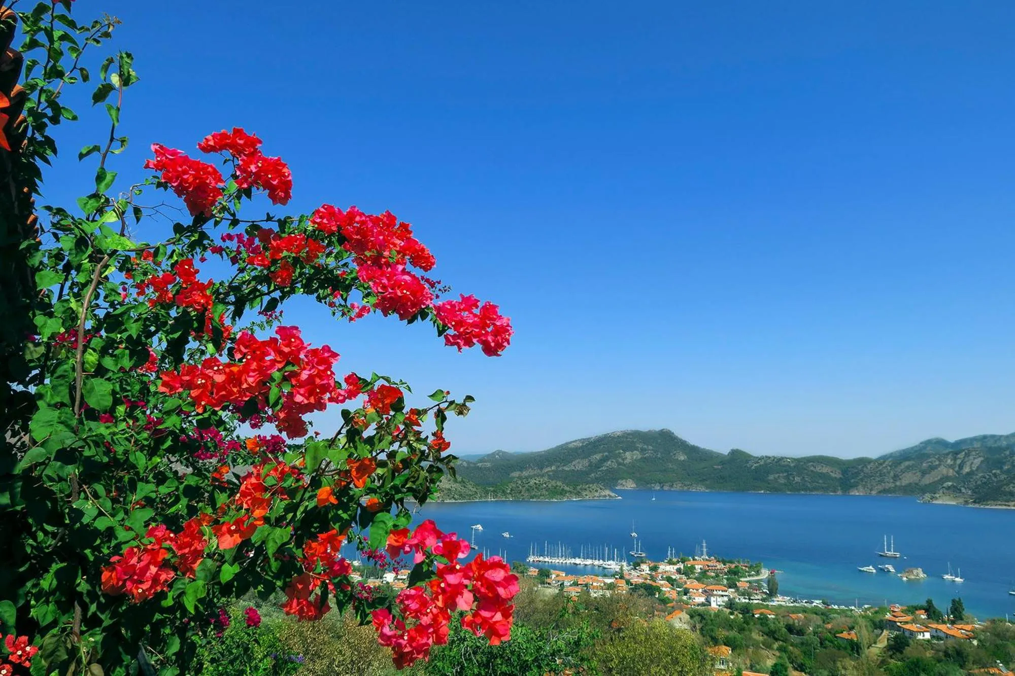 Balcony/Terrace in Swan Lake Hotel - Adult Only