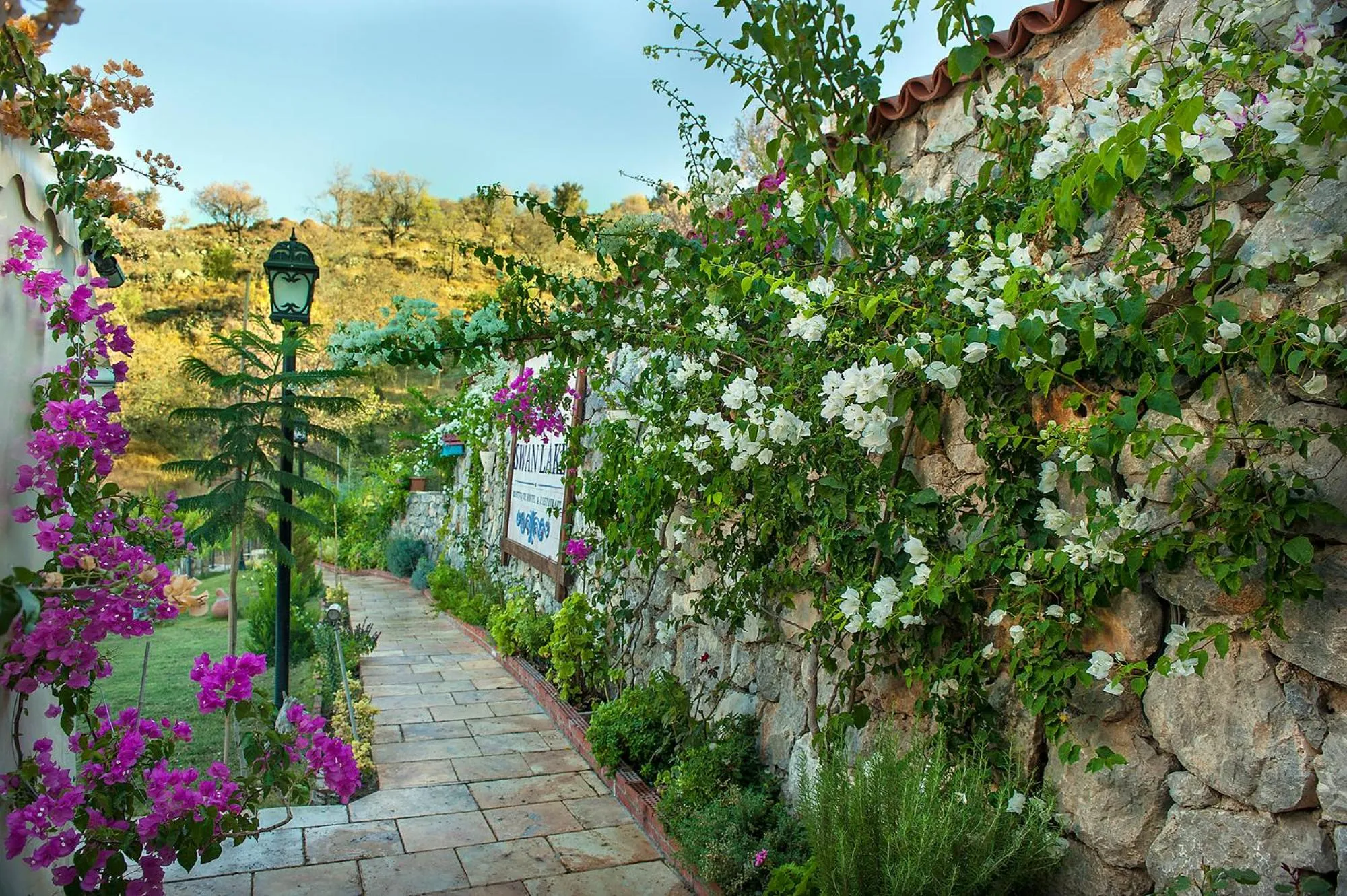 Garden in Swan Lake Hotel - Adult Only