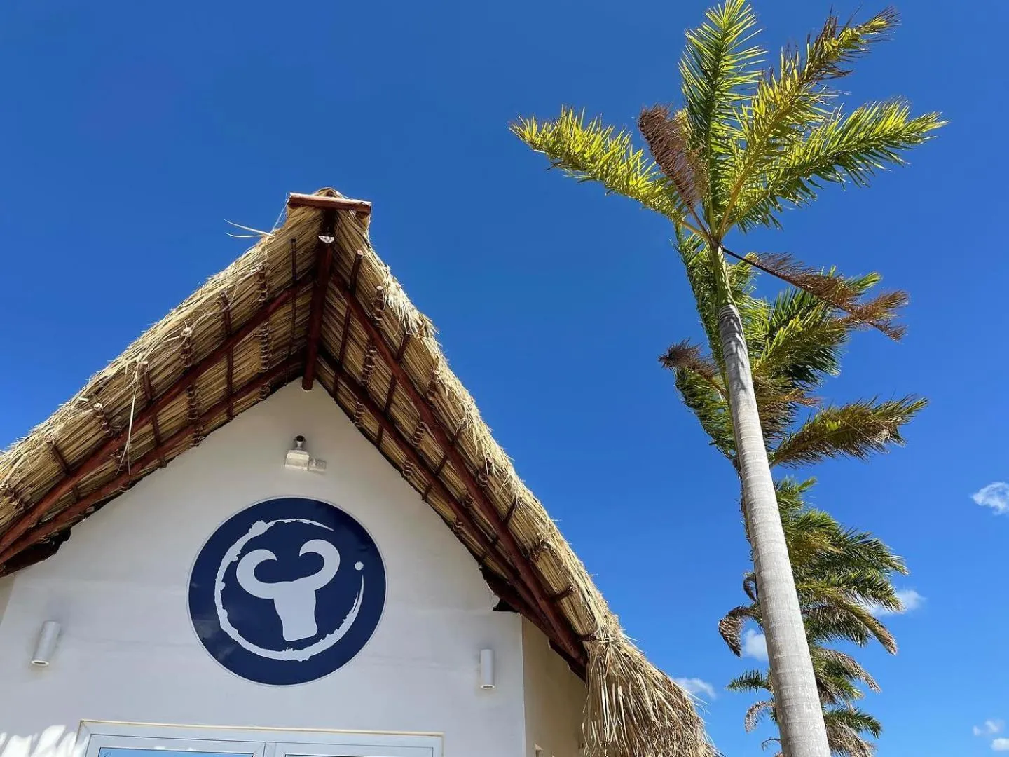 Lobby or reception in Surf Ranch Resort - Popoyo