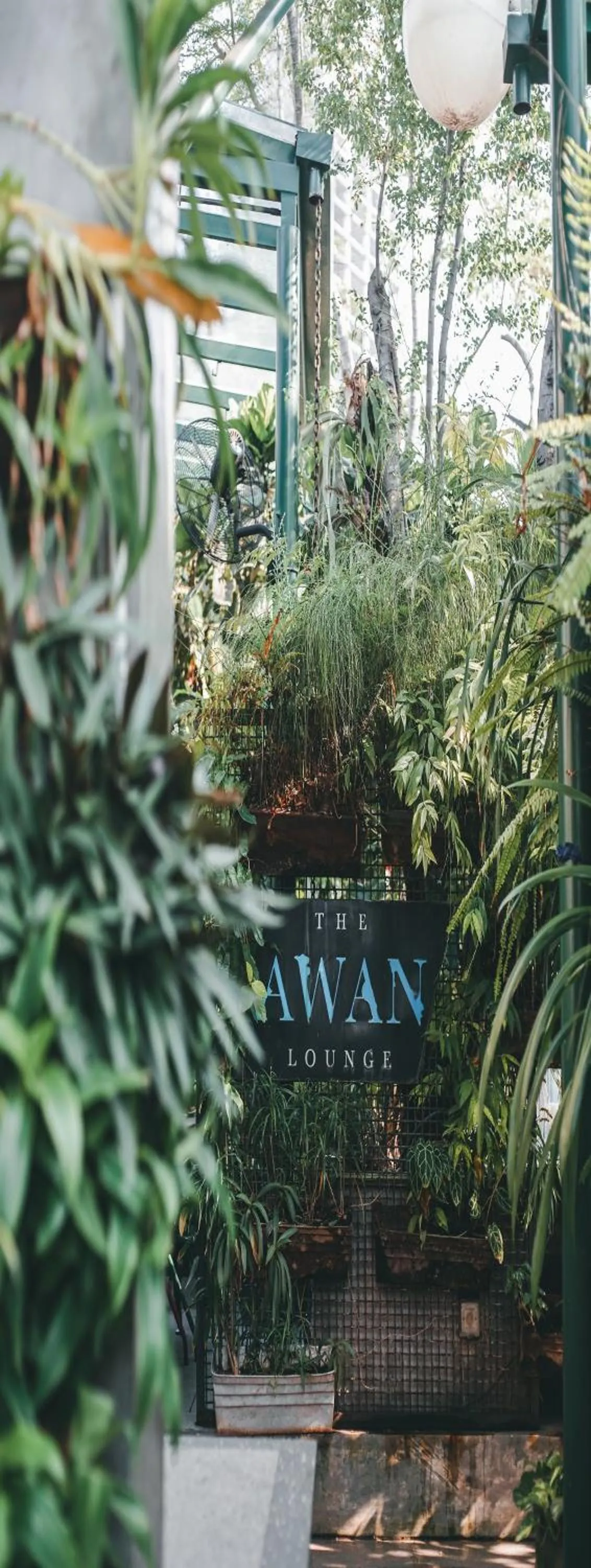 Restaurant/places to eat in Kosenda Hotel