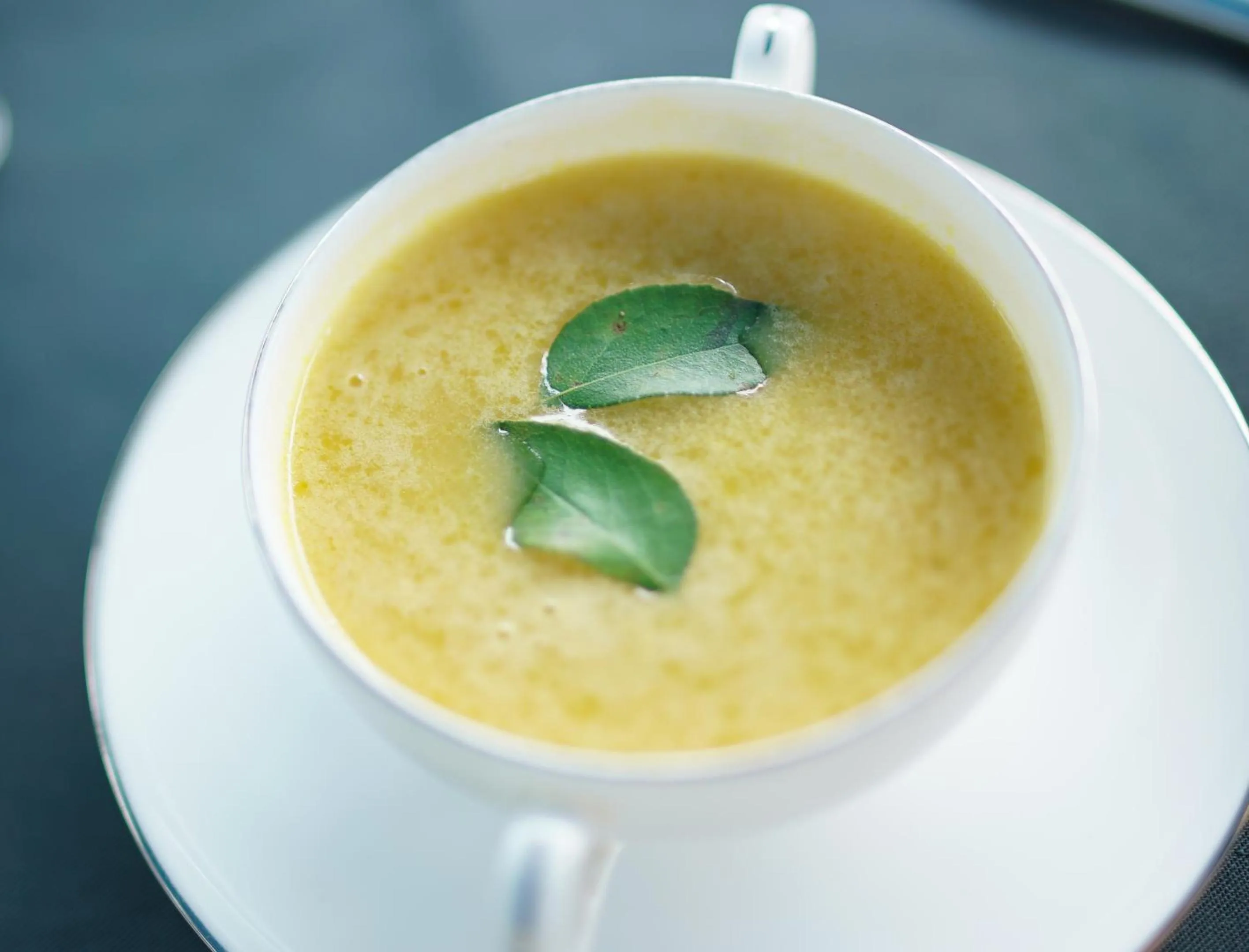 Food close-up in Big Game - Wilpattu by Eco Team