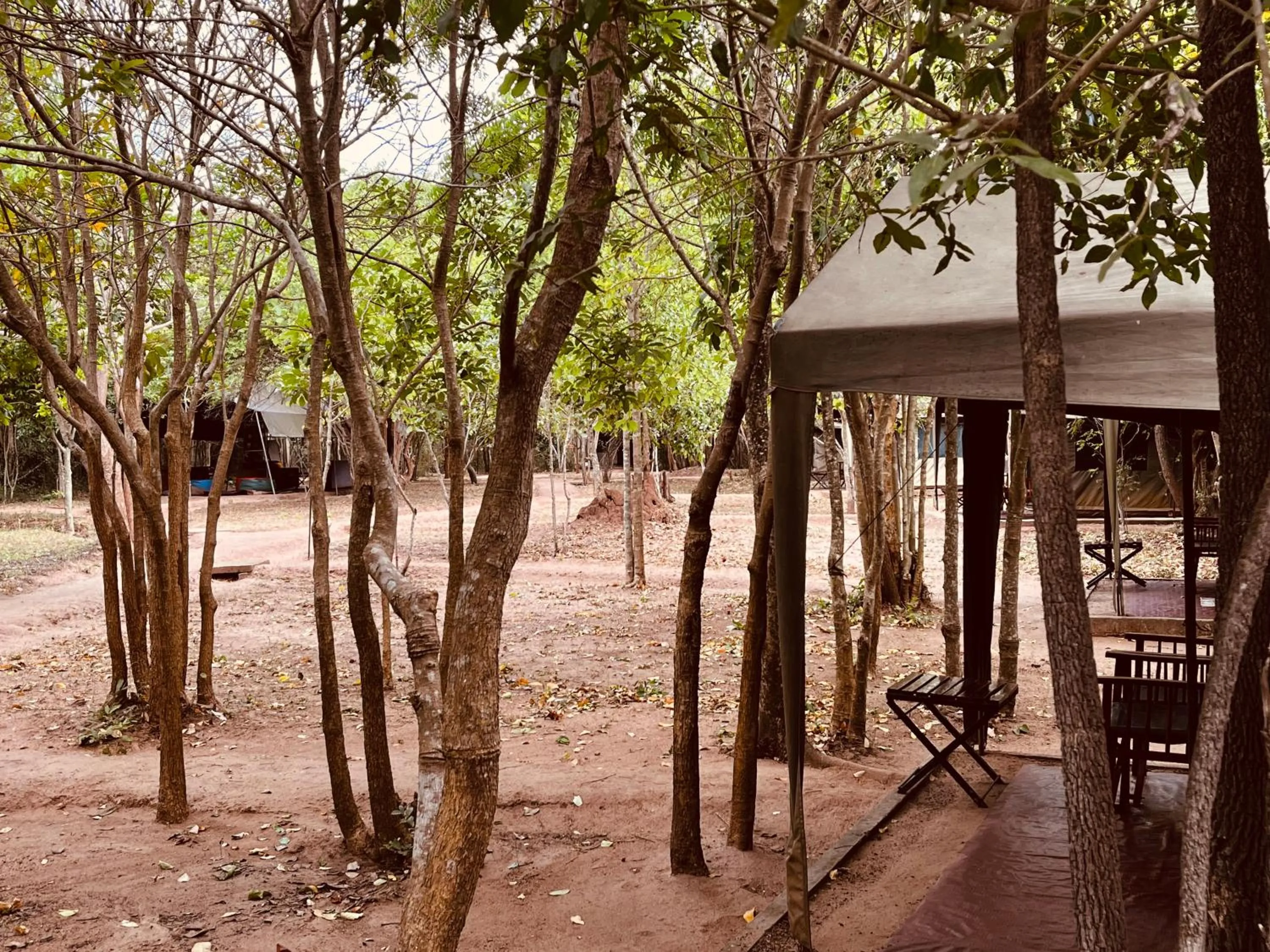 Other in Big Game - Wilpattu by Eco Team