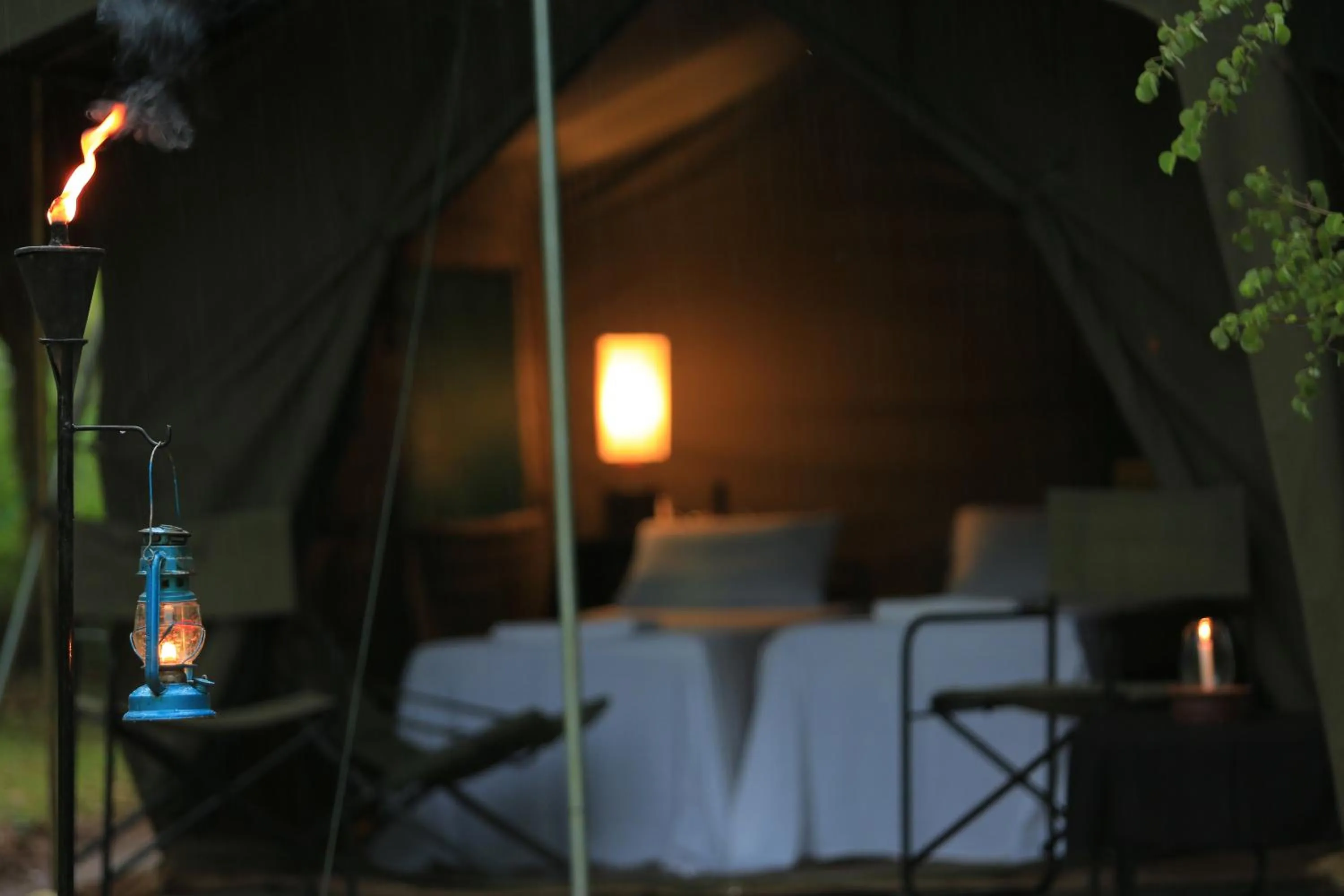 Garden view, Bed in Big Game - Wilpattu by Eco Team