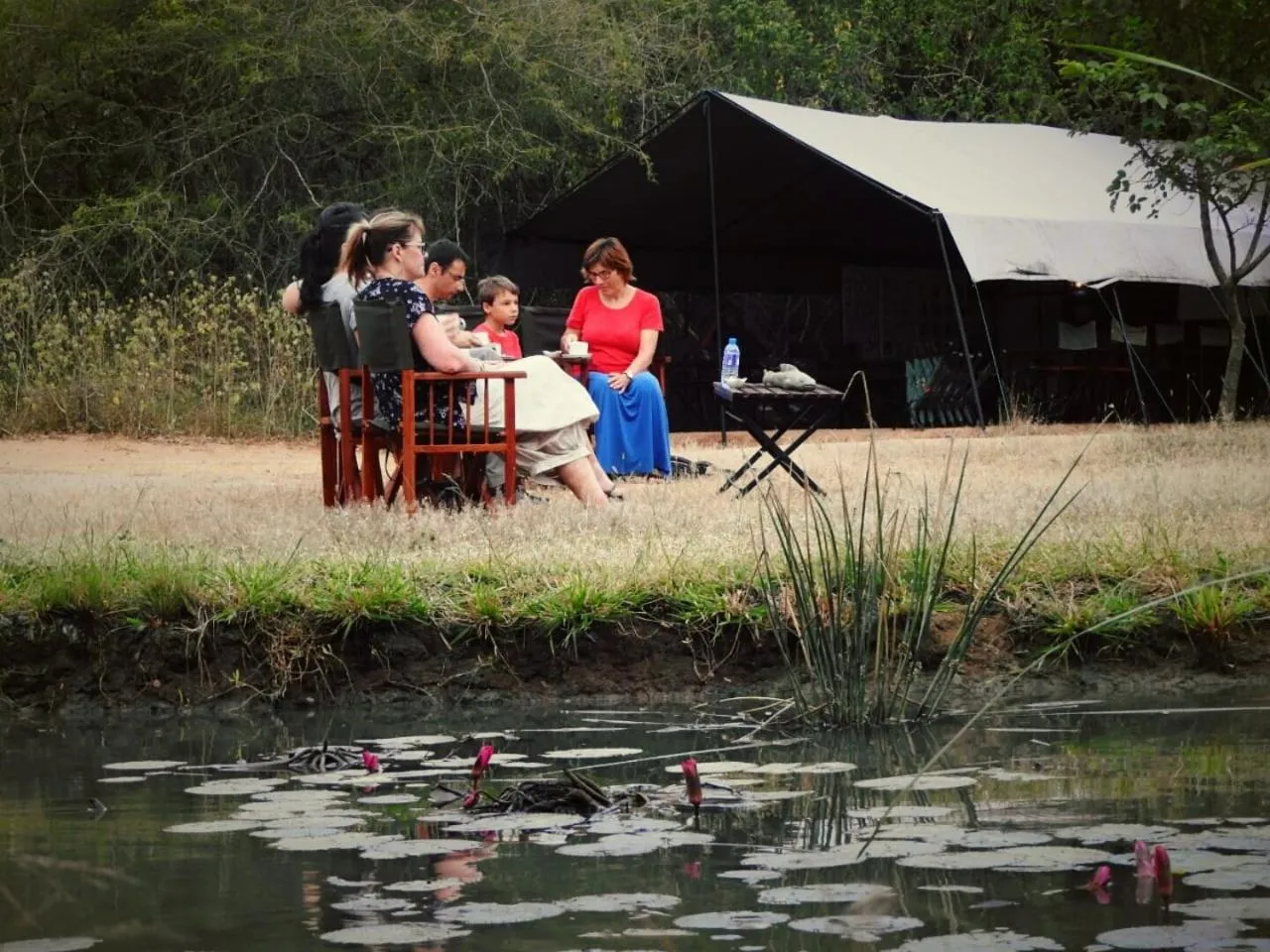 Natural landscape in Big Game - Wilpattu by Eco Team