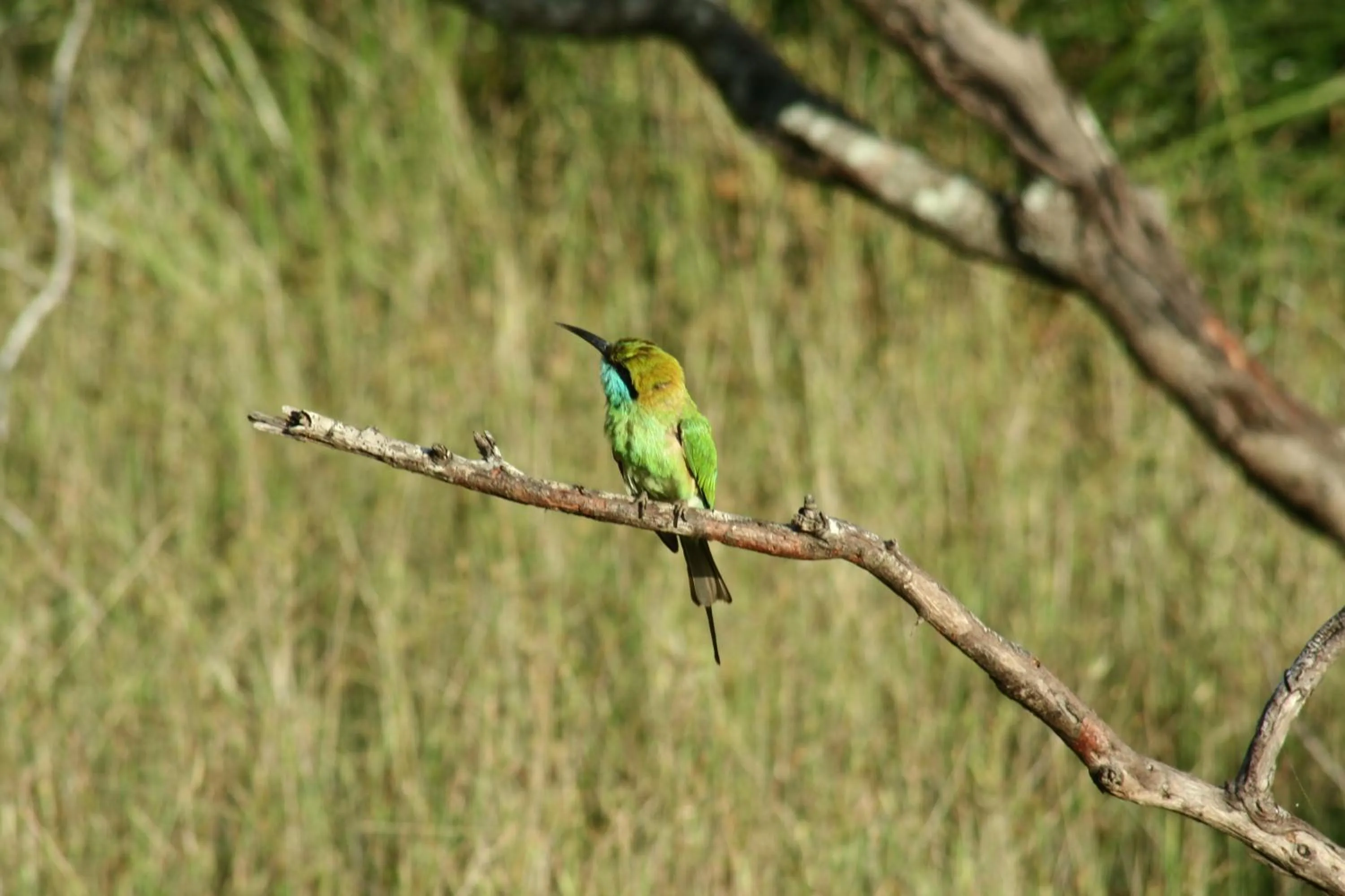 Area and facilities in Big Game - Wilpattu by Eco Team
