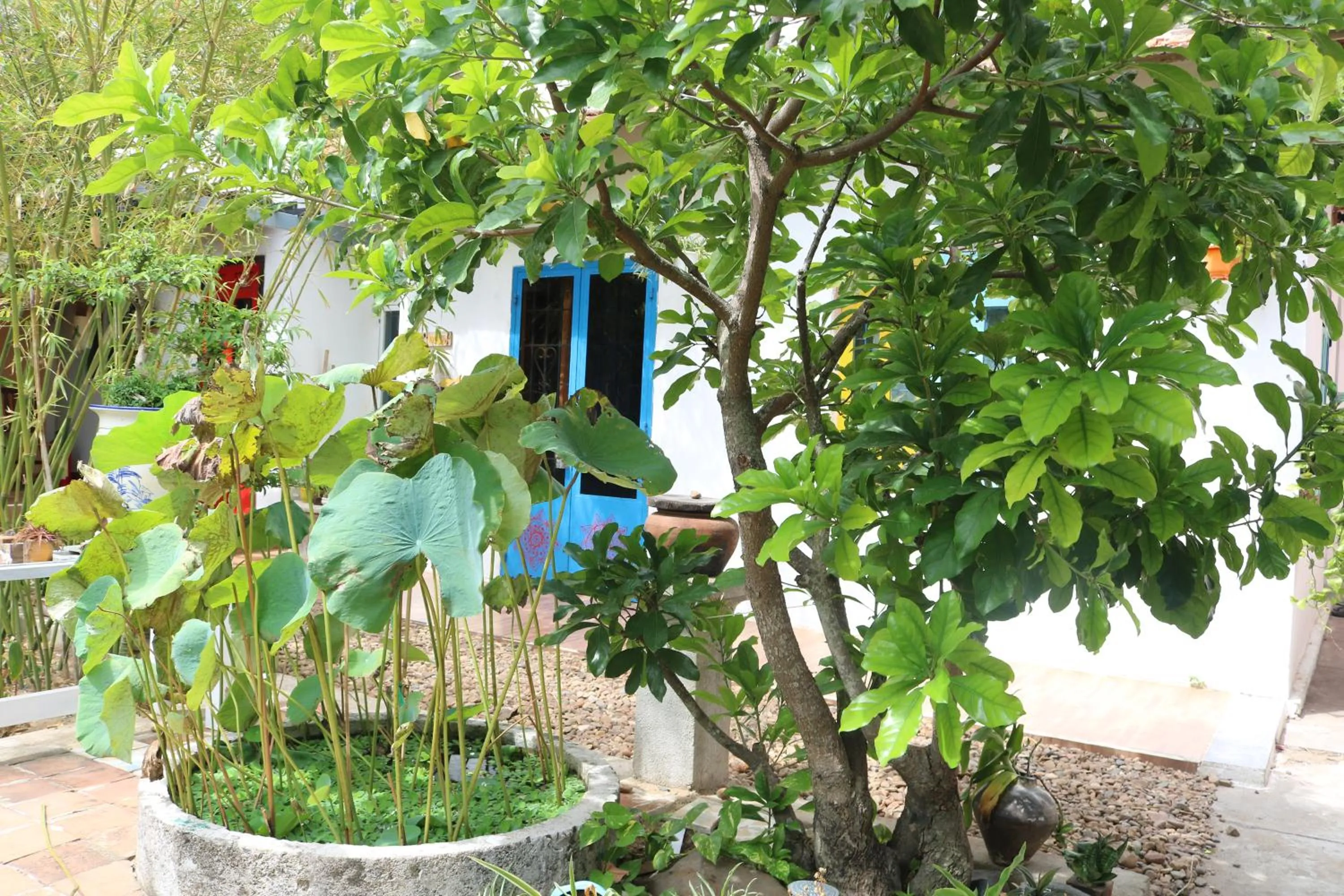 Yellow Farm Homestay at Tuy Hòa Phú Yên