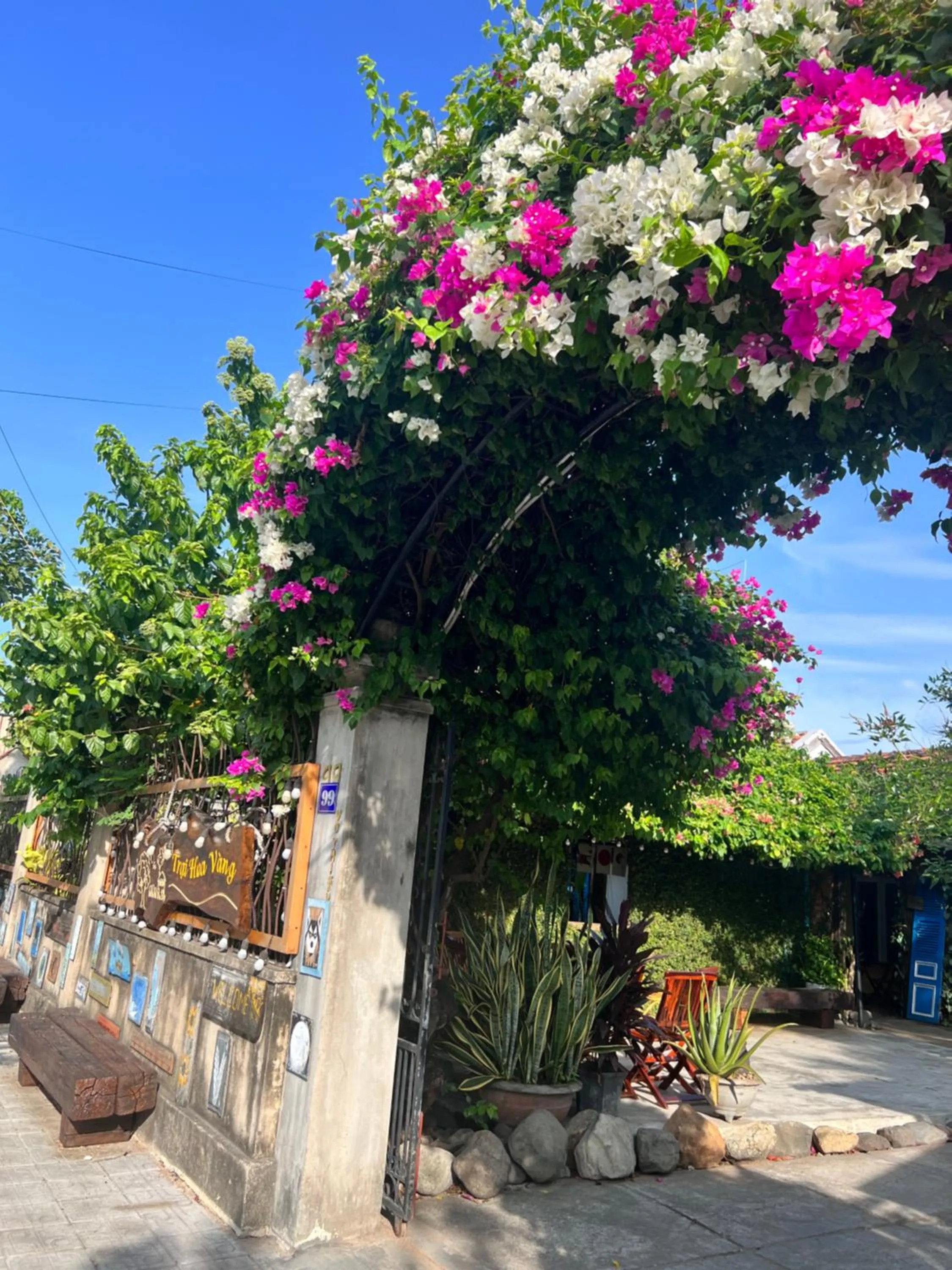 Garden view in Yellow Farm Homestay at Tuy Hòa Phú Yên