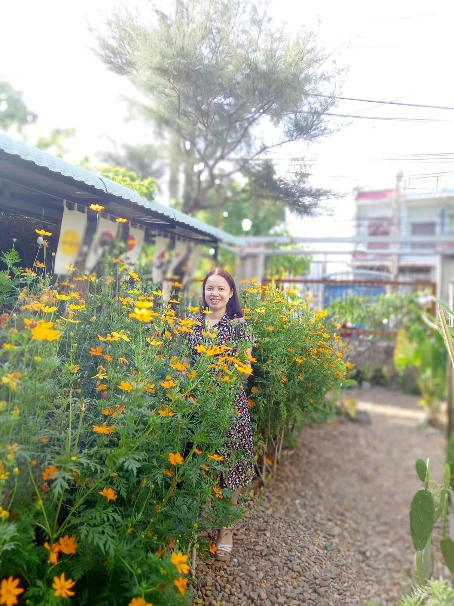 Yellow Farm Homestay at Tuy Hòa Phú Yên