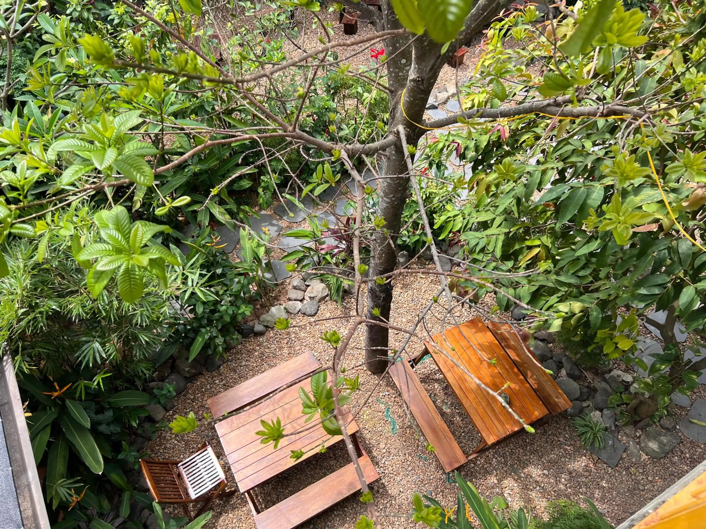 Garden view in Yellow Farm Homestay at Tuy Hòa Phú Yên