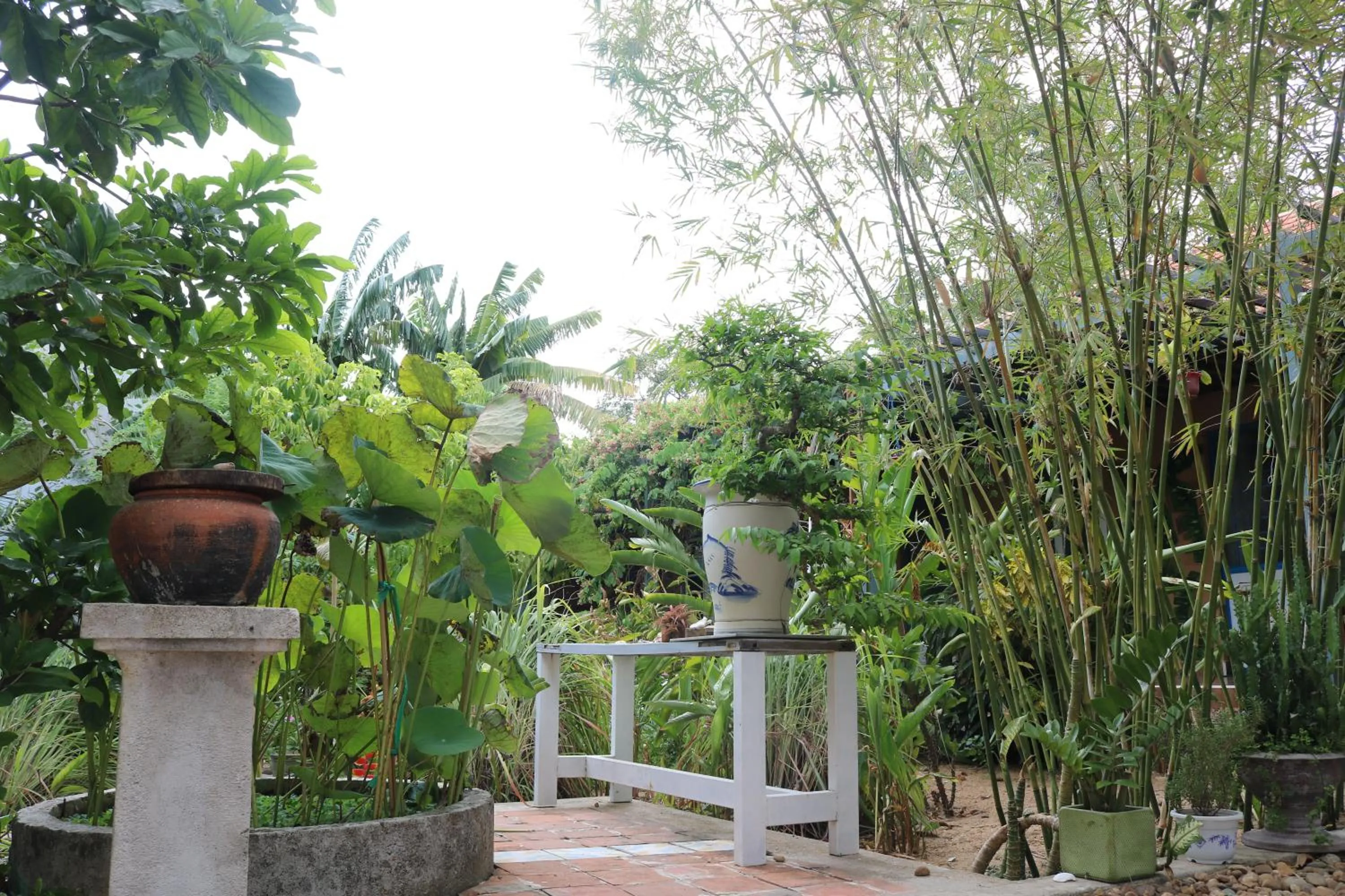 Yellow Farm Homestay at Tuy Hòa Phú Yên