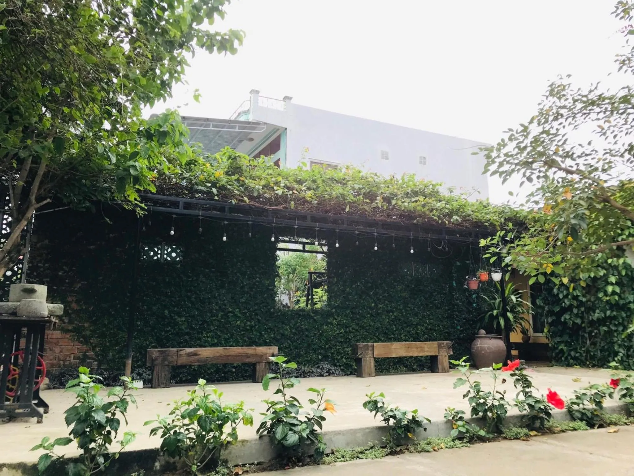 Garden view in Yellow Farm Homestay at Tuy Hòa Phú Yên