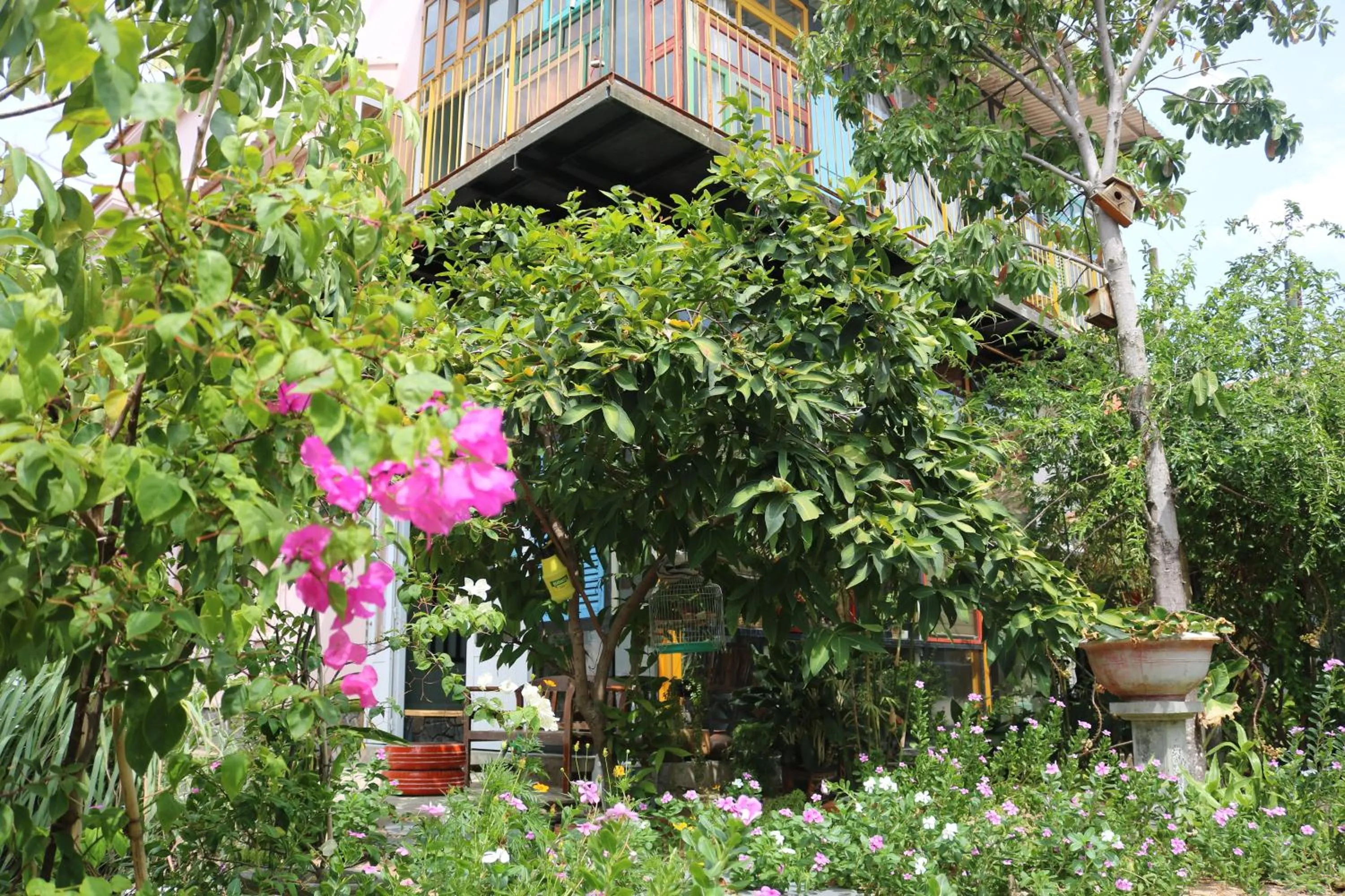 Yellow Farm Homestay at Tuy Hòa Phú Yên