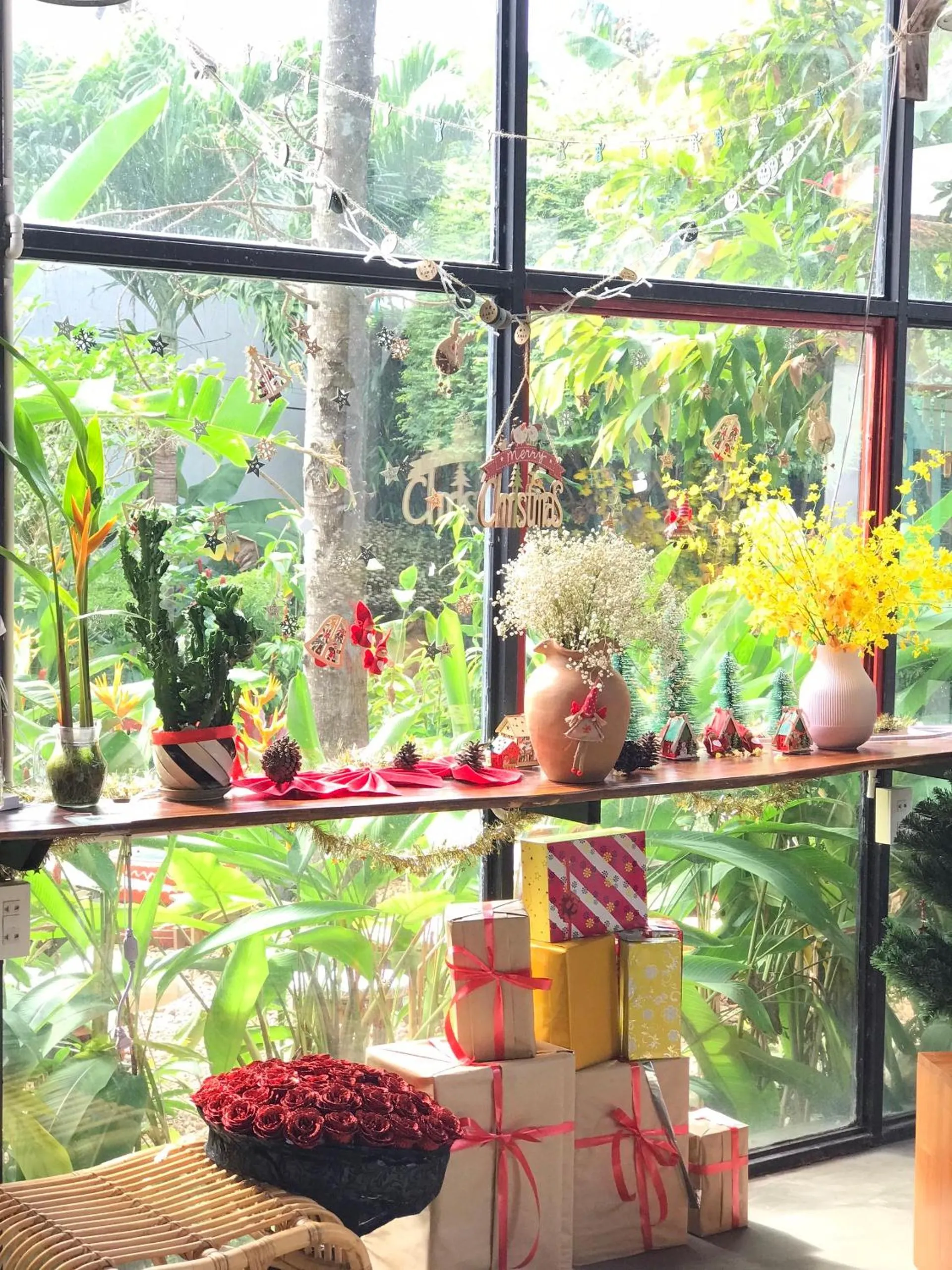 Garden view in Yellow Farm Homestay at Tuy Hòa Phú Yên