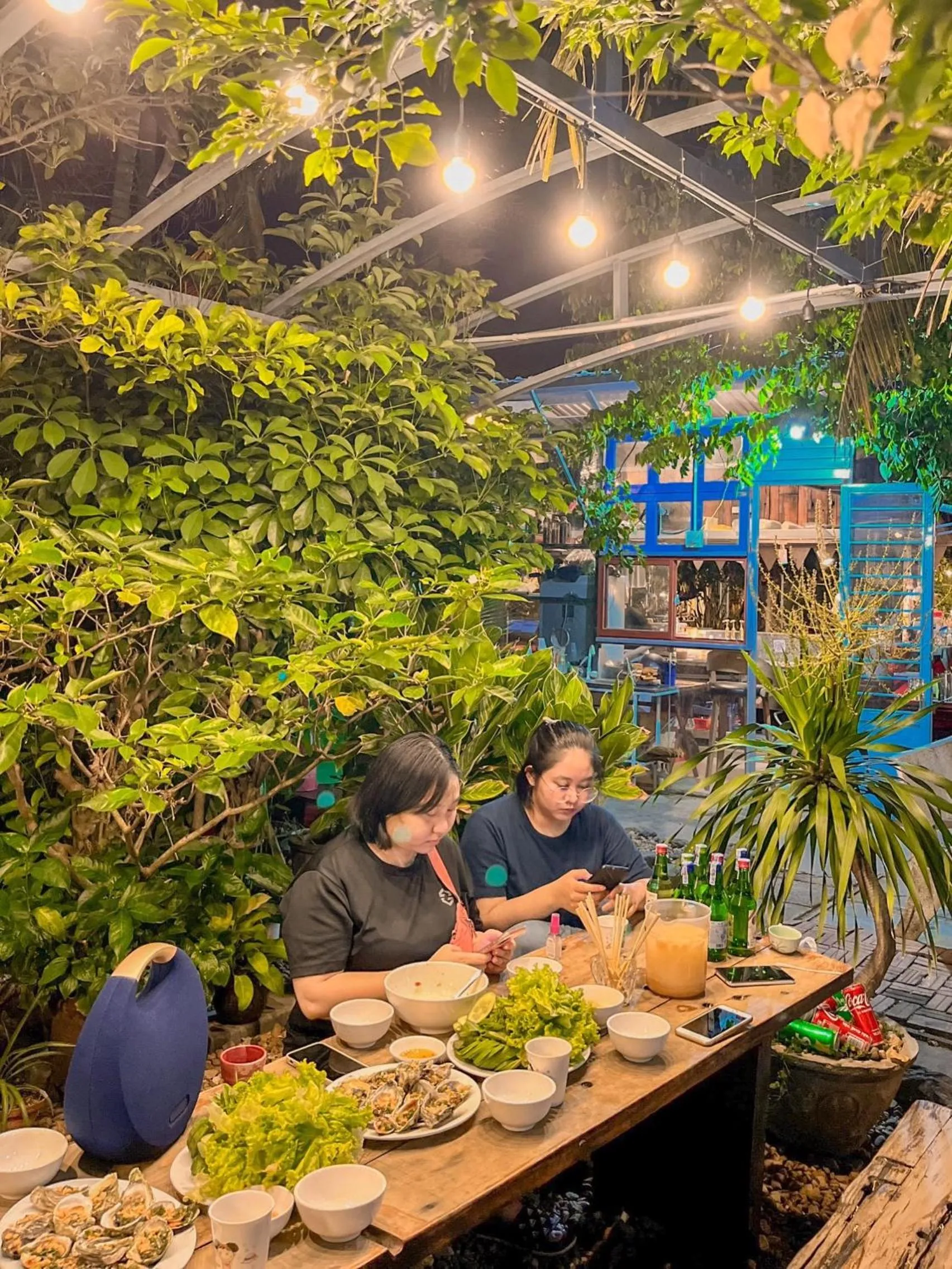 Garden in Yellow Farm Homestay at Tuy Hòa Phú Yên