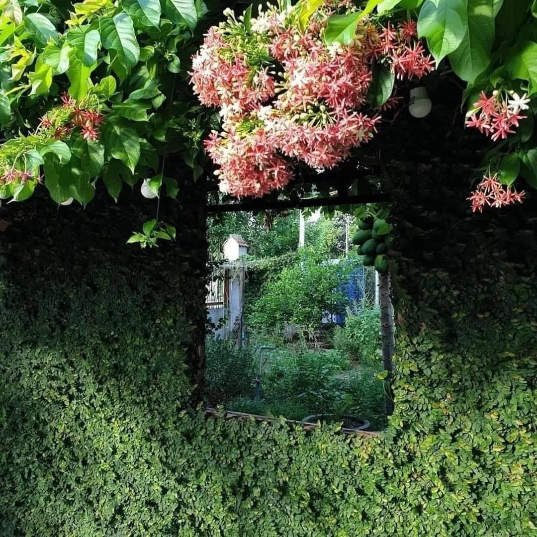 Yellow Farm Homestay at Tuy Hòa Phú Yên