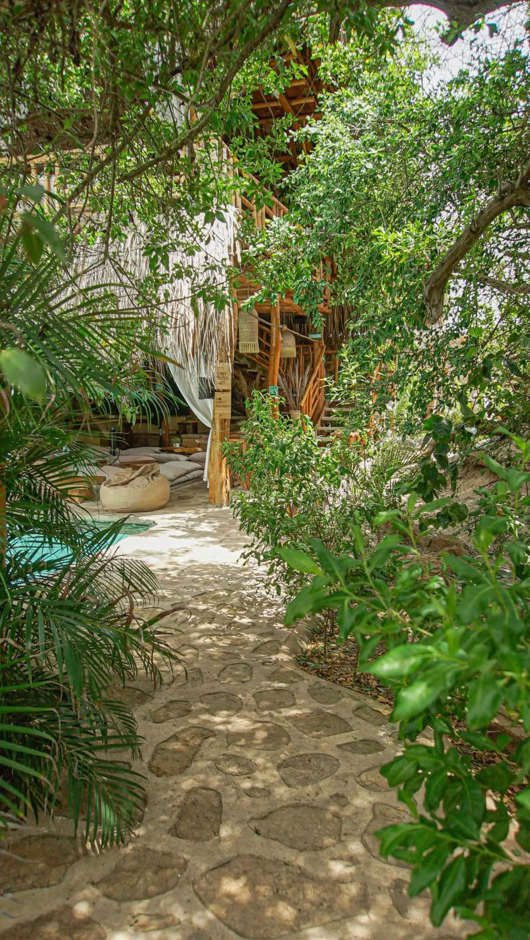 Garden view in Eco Xata