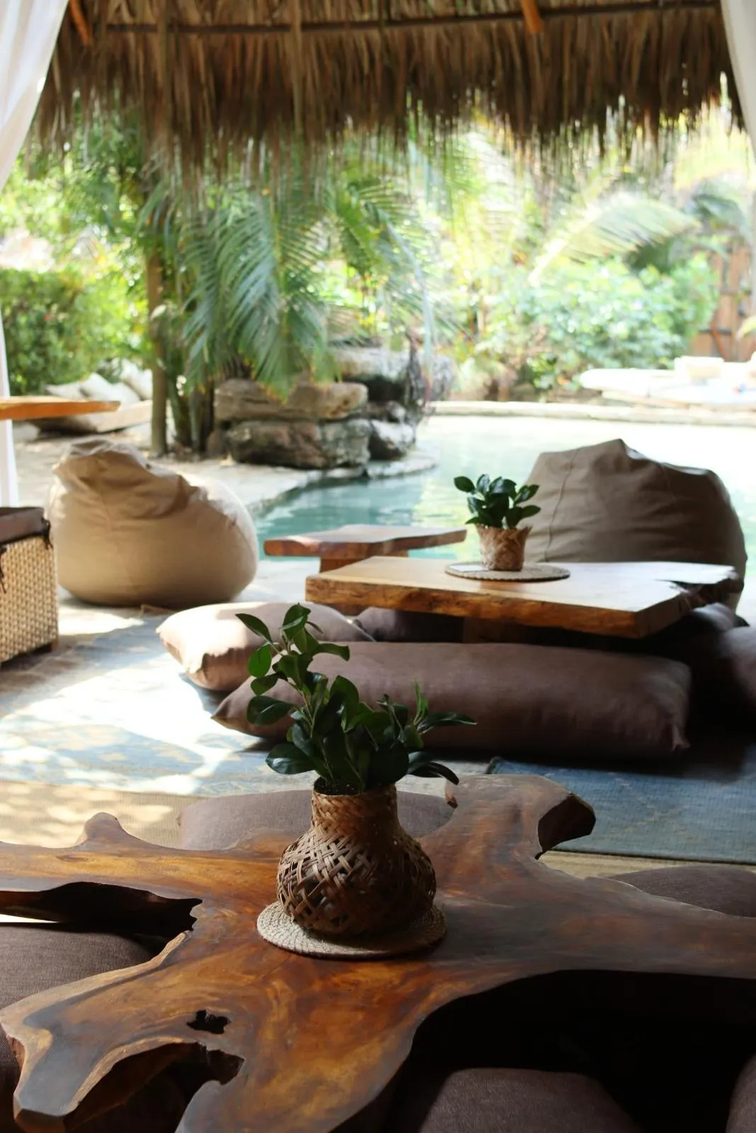 Living room in Eco Xata