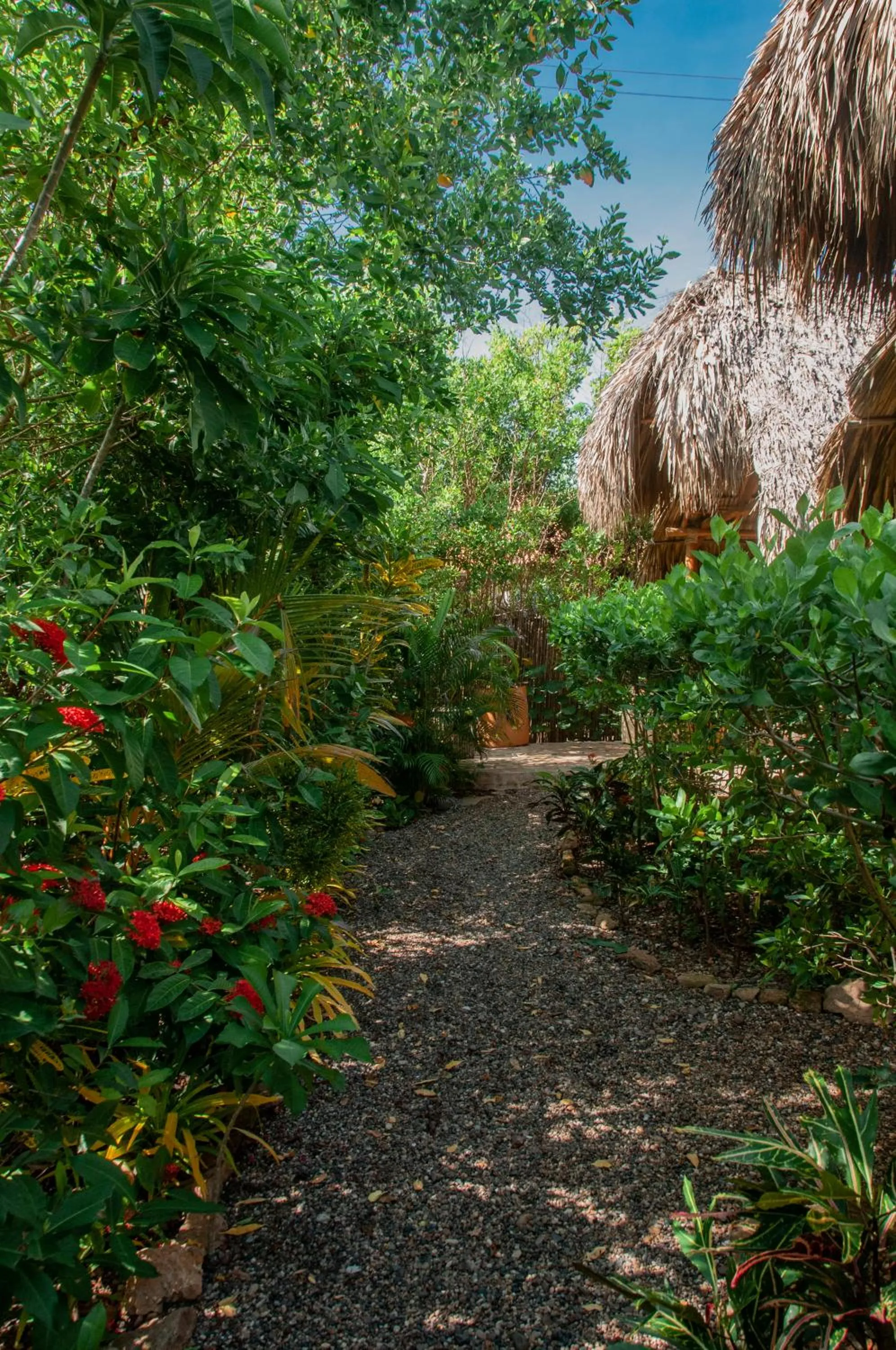 View (from property/room) in Eco Xata