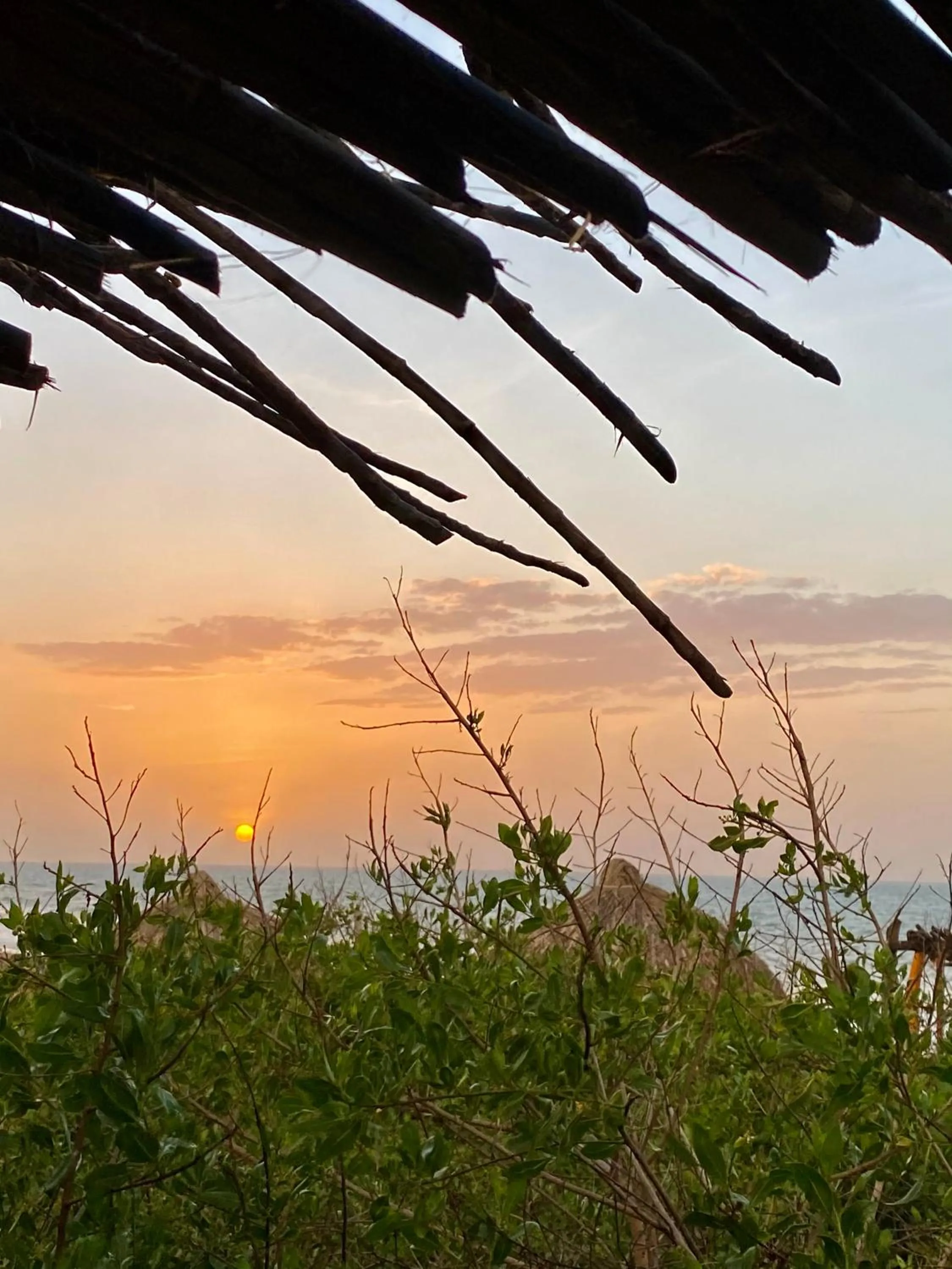 Natural landscape in Eco Xata