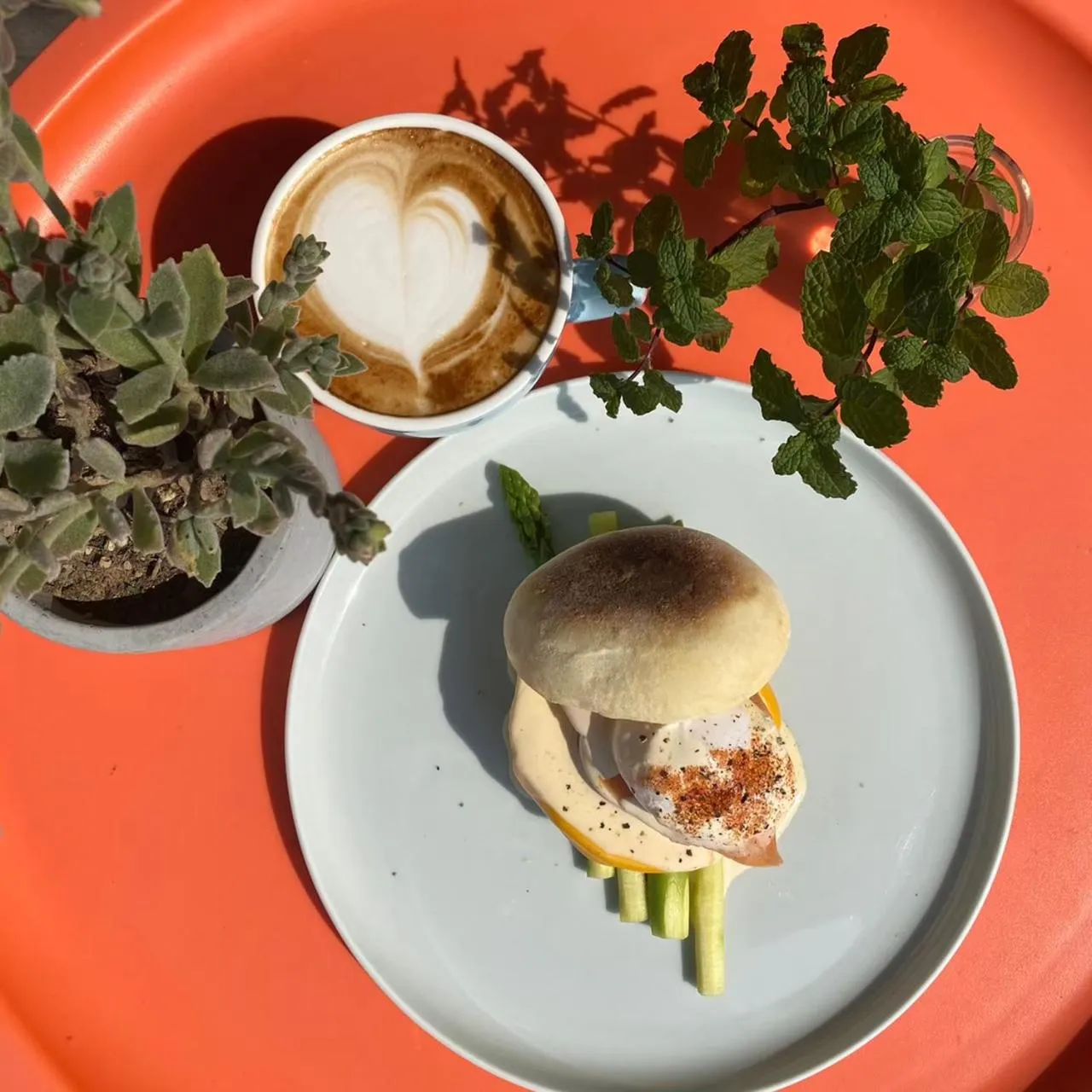 Breakfast in Shark B&B